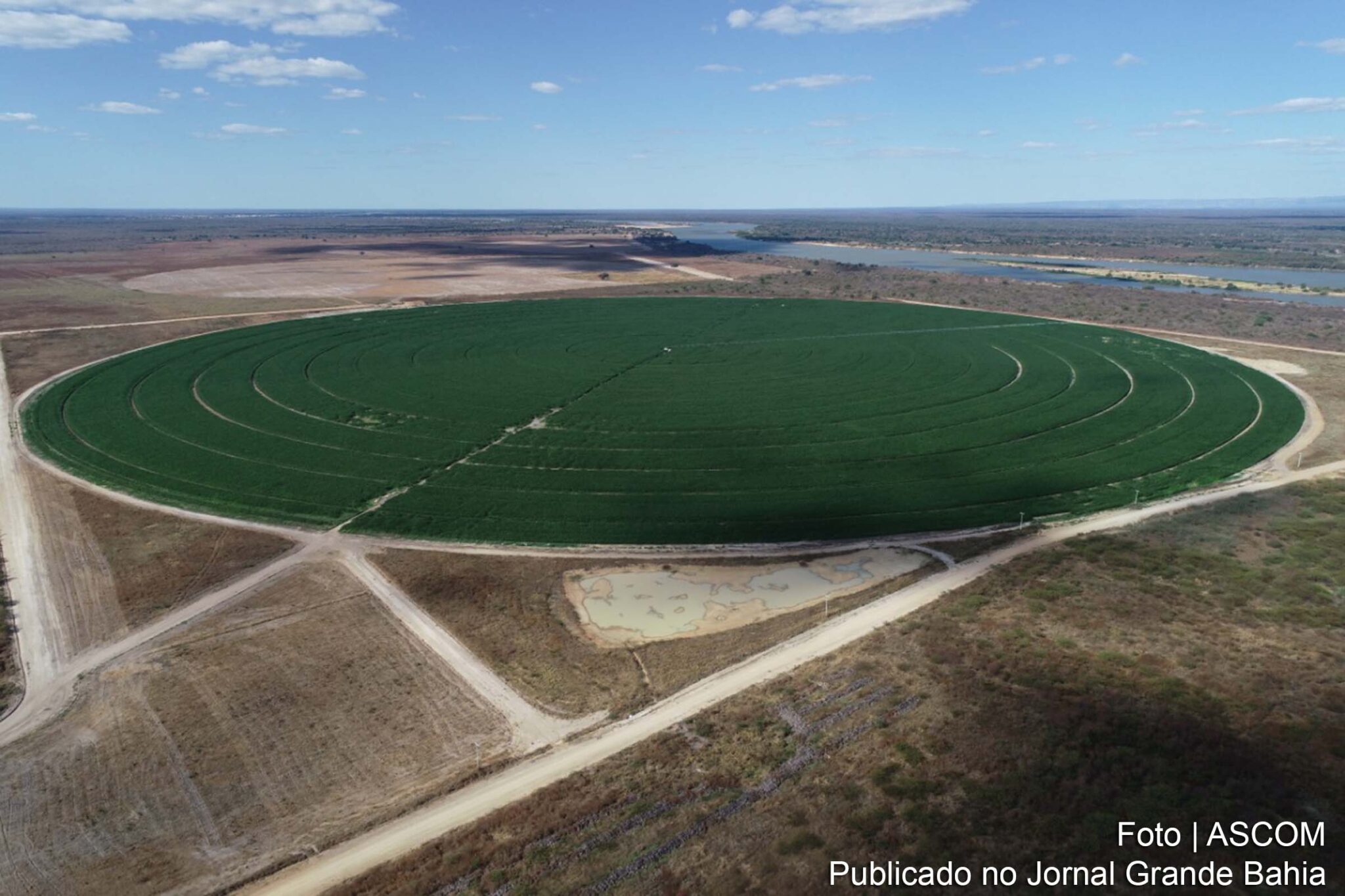 Imagem aérea do Polo Agroindustrial do Médio São Francisco.