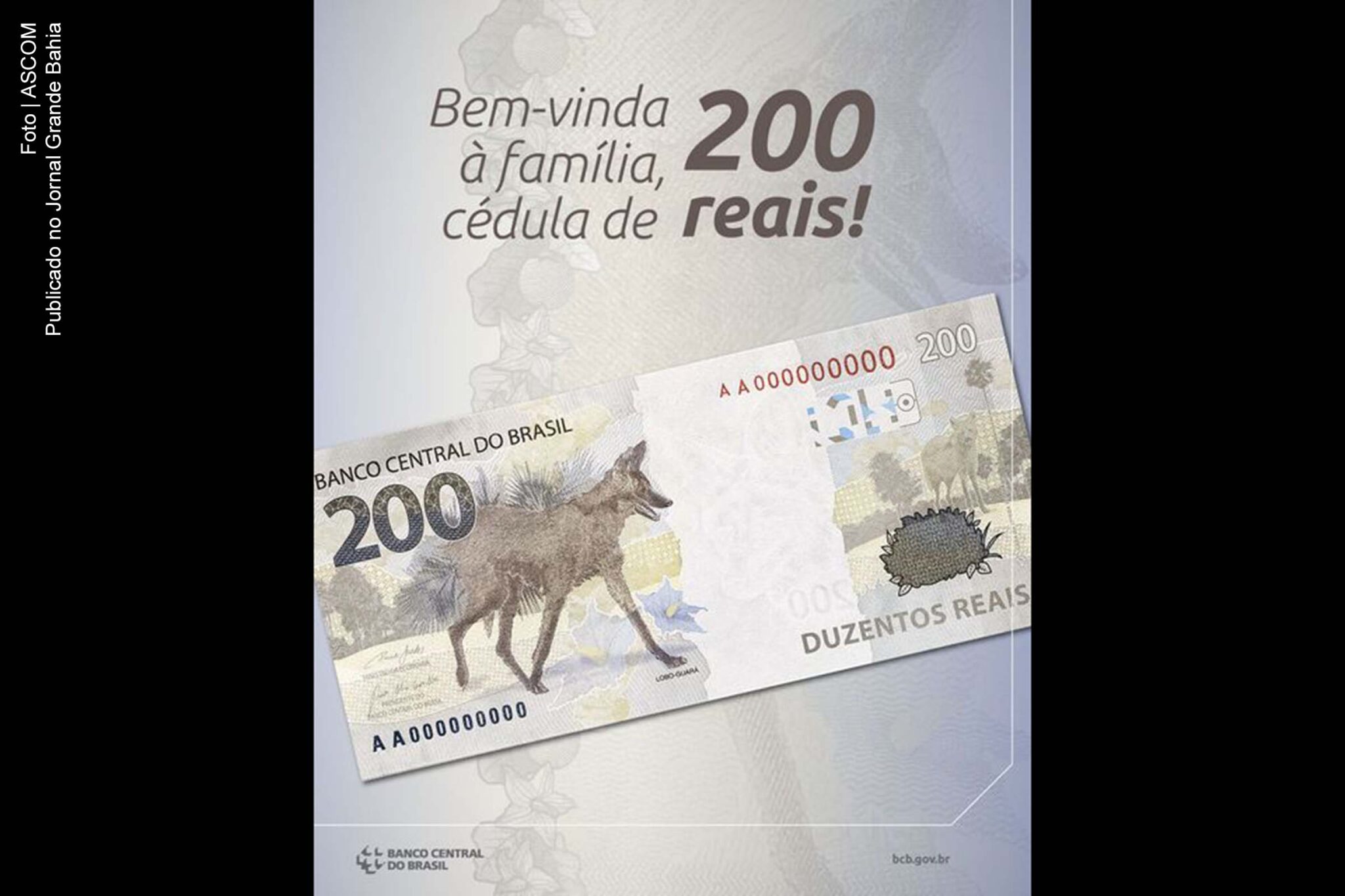 Notas de R$ 200 são ilustradas com imagem do Lobo-guará.