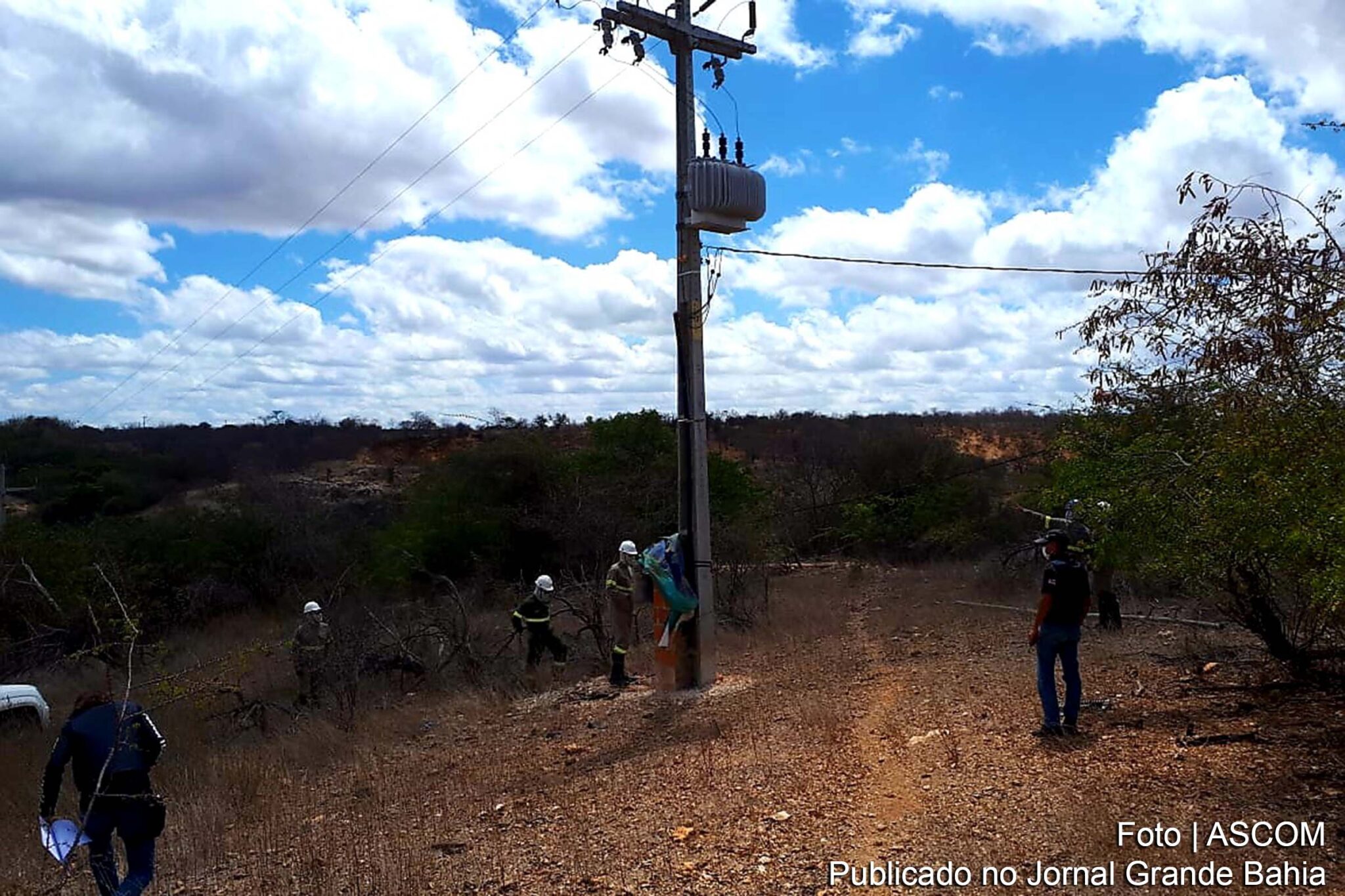Operação conjunta da Polícia Civil e COELBA desativa redes clandestinas de energia em seis fazendas de Campo Formoso