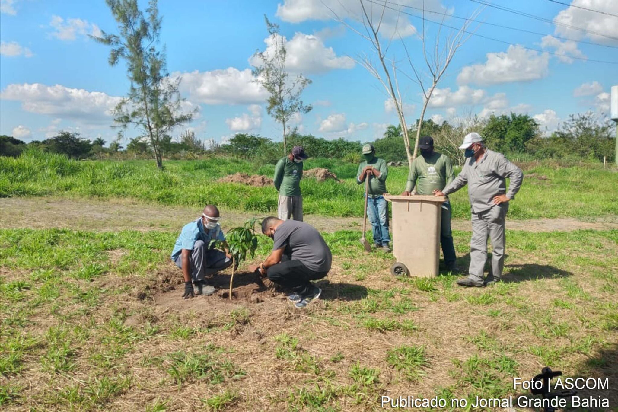 Plantio de árvores no Parque da Cidade em Feira de Santana.