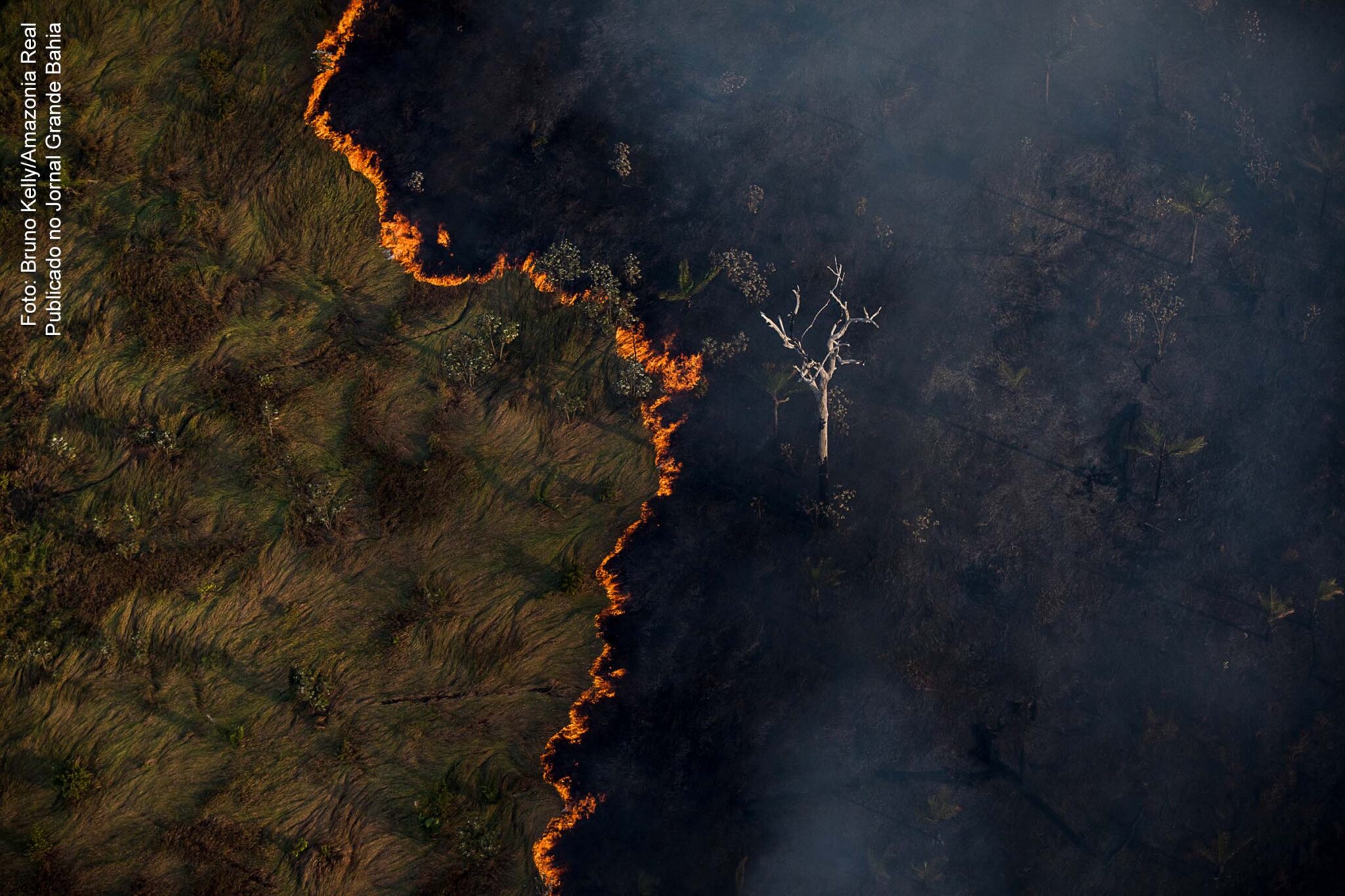 Queimada é vista em meio a área de floresta Amazônica próximo do município de Porto Velho, registrada em 12 de agosto de 2020.