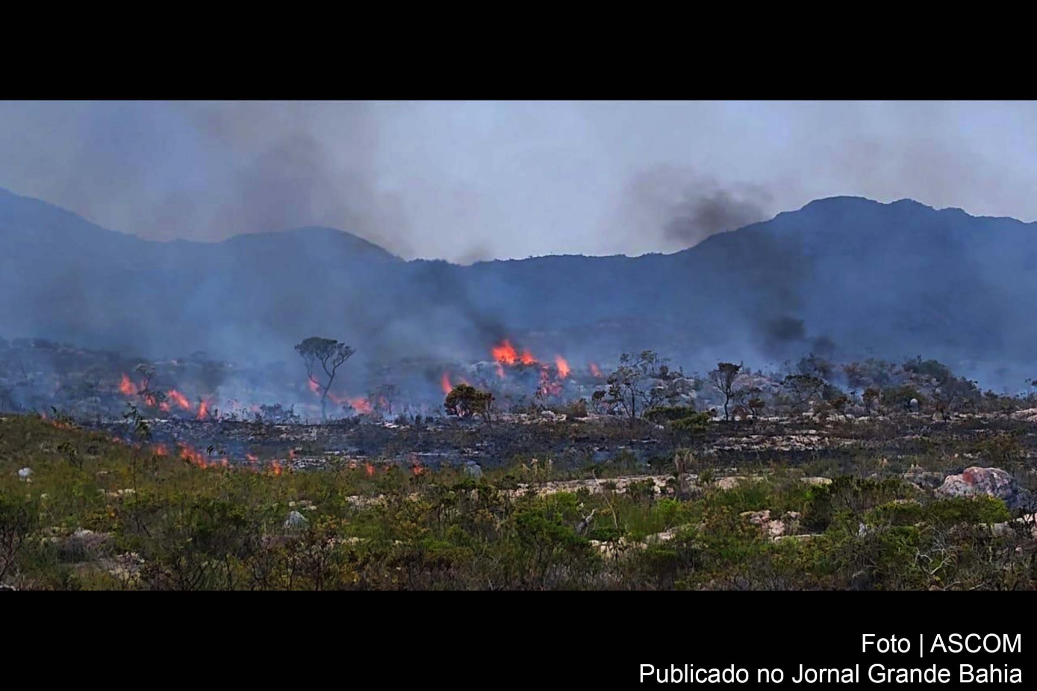 73 municípios atingidos por incêndios florestais na Chapada Diamantina têm situação de emergência decretada pelo Governo da Bahia.