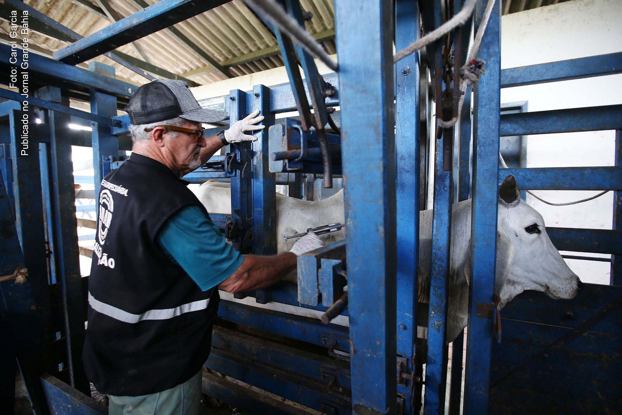 Governo do Estado promove ações para desenvolver agronegócio na Bahia