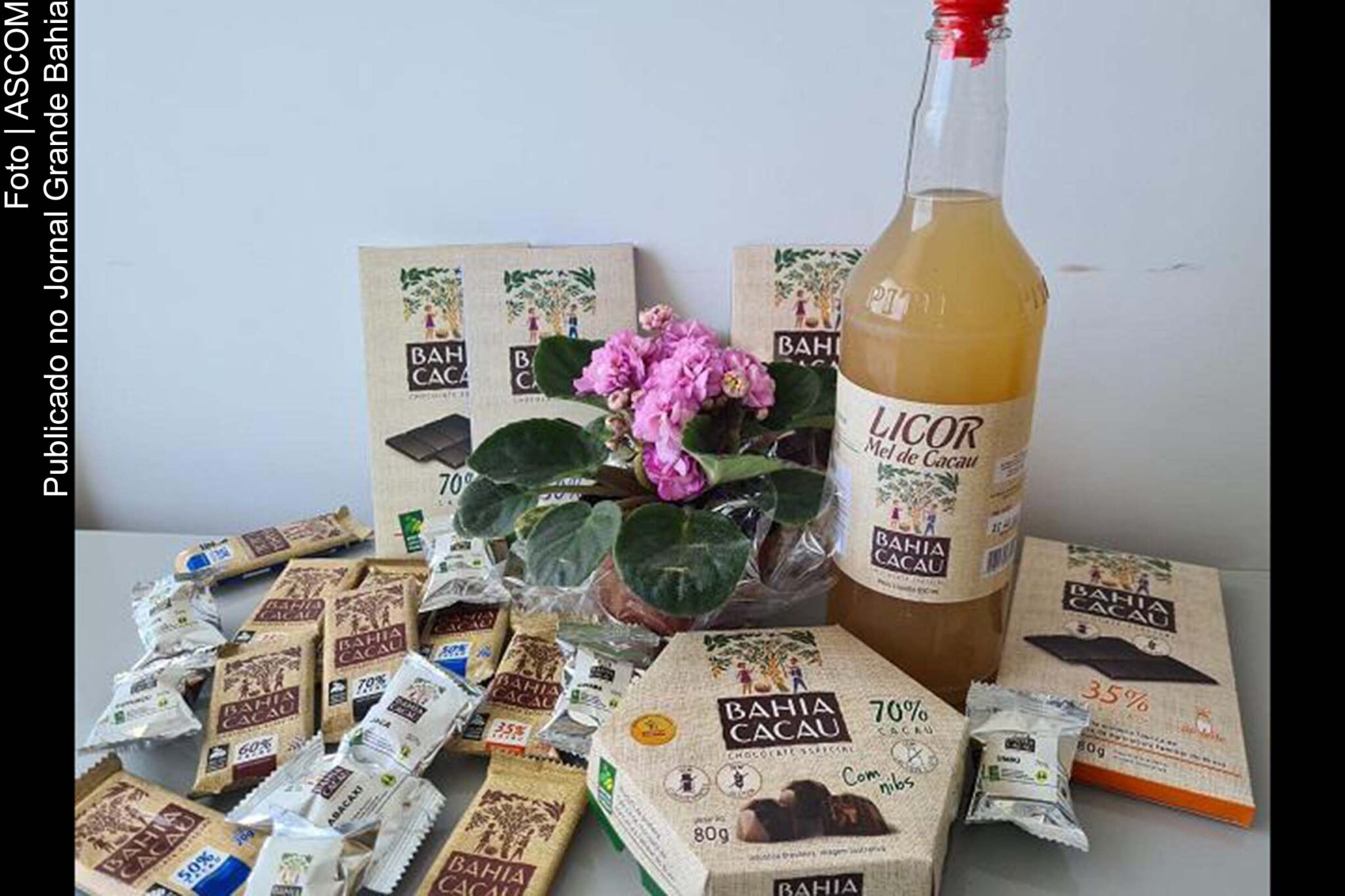 A Bahia Cacau, fábrica de chocolate da agricultura familiar.
