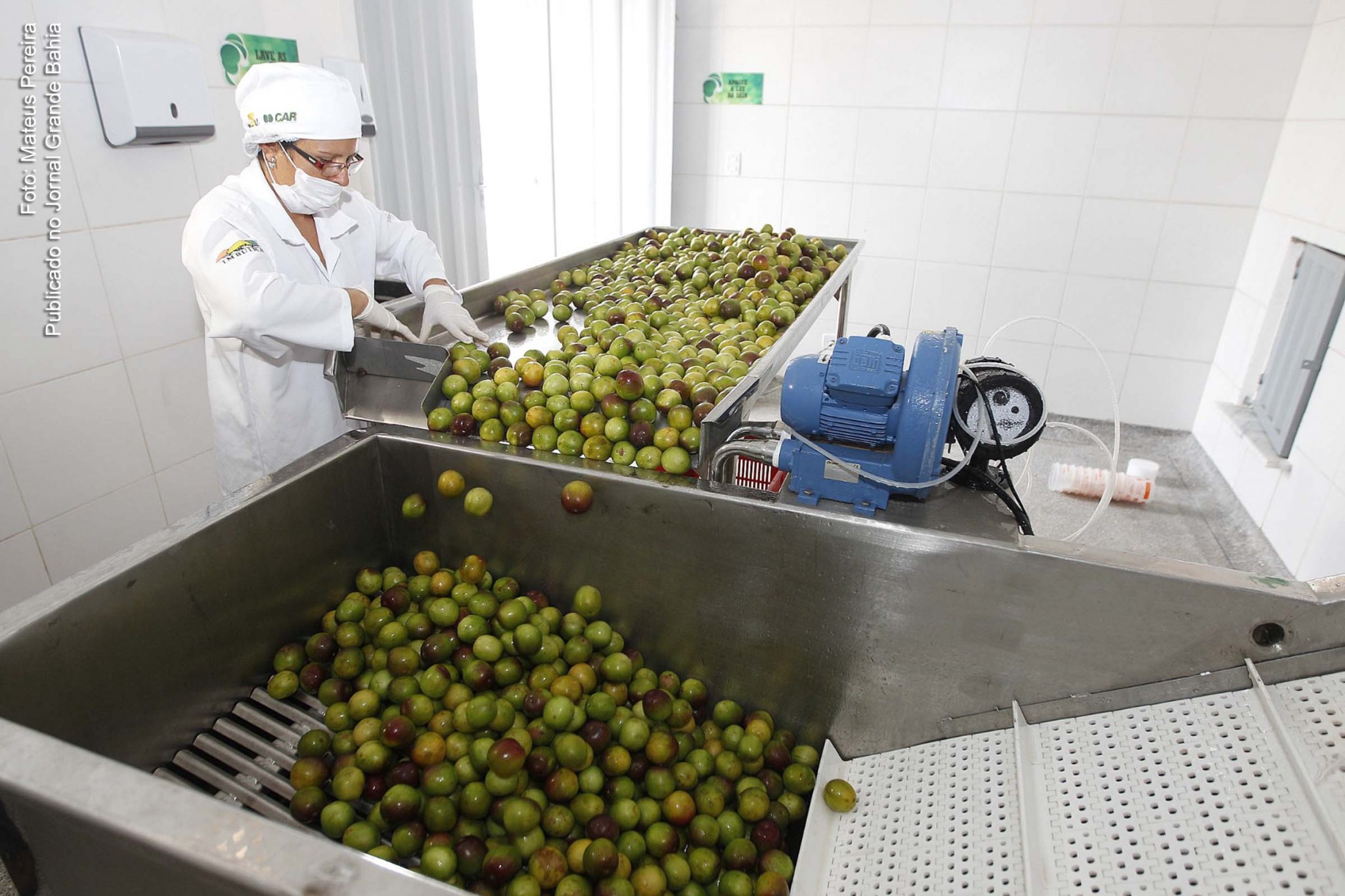 Agronegócio impulsiona crescimento do PIB da Bahia.