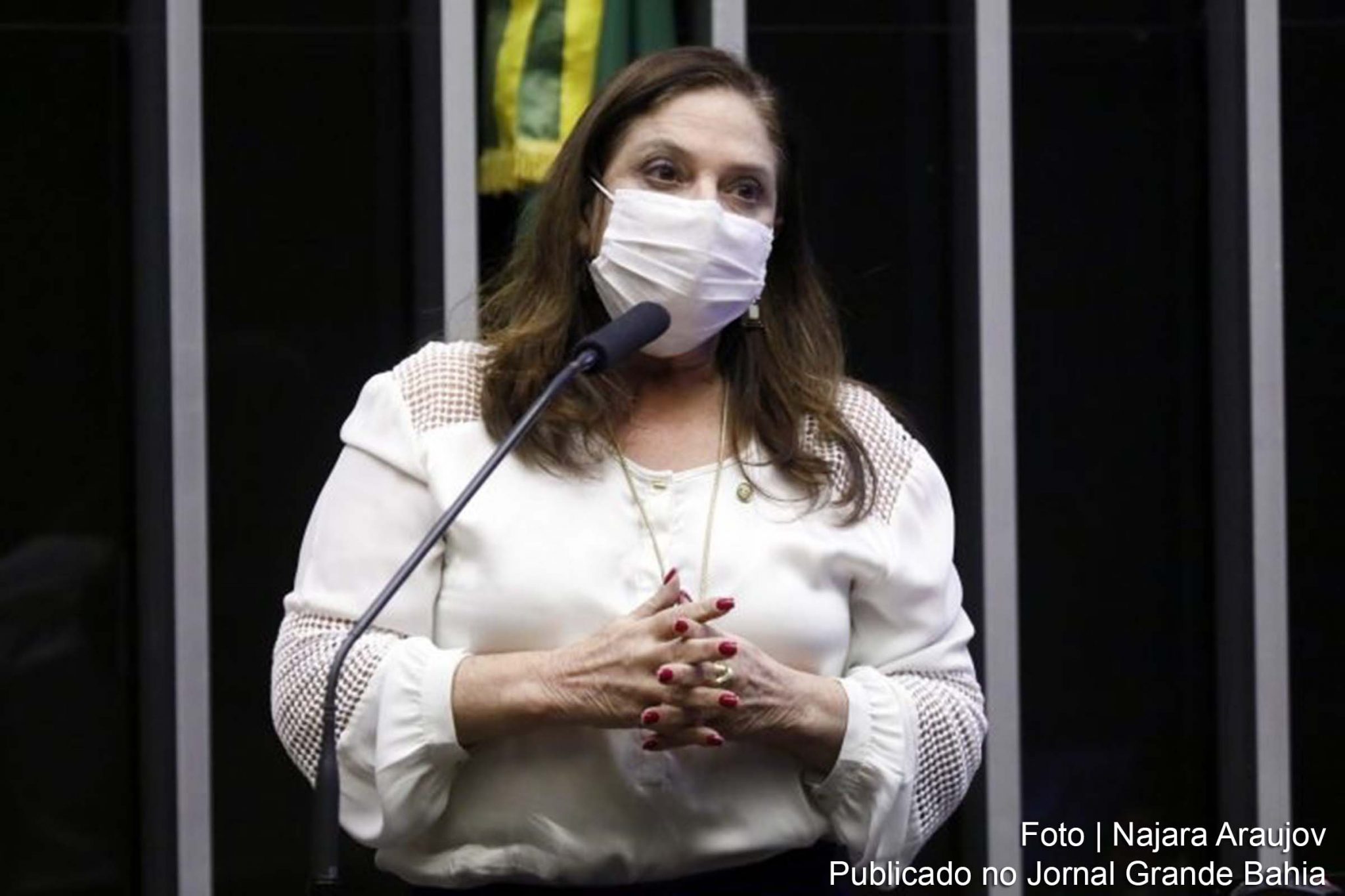Soraya Santos, primeira-secretária da Câmara, pediu que o presidente do Congresso acione os órgãos de controle.