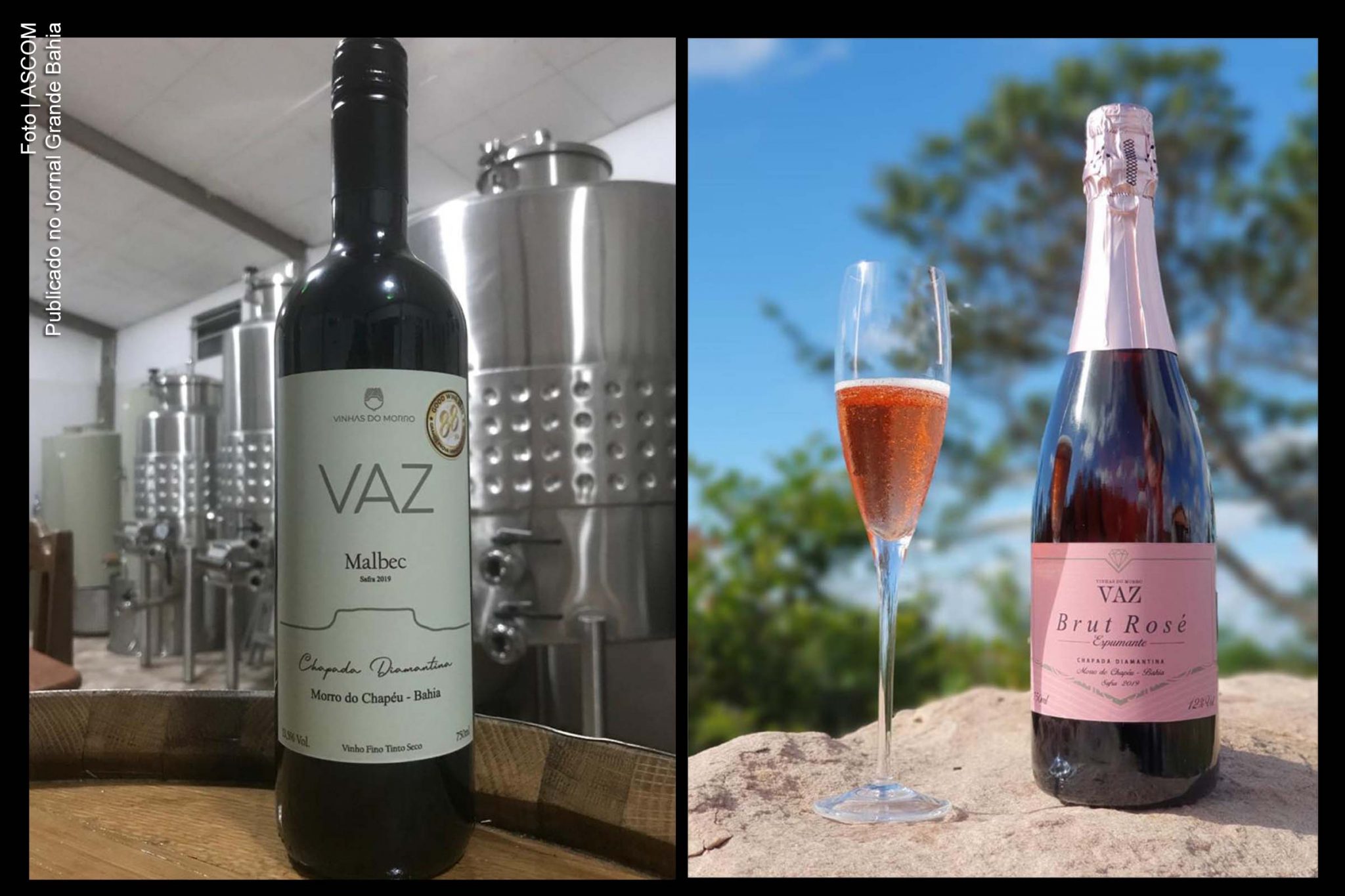 Vinhos produzidos pela Vaz, na Bahia, ganham prêmio.
