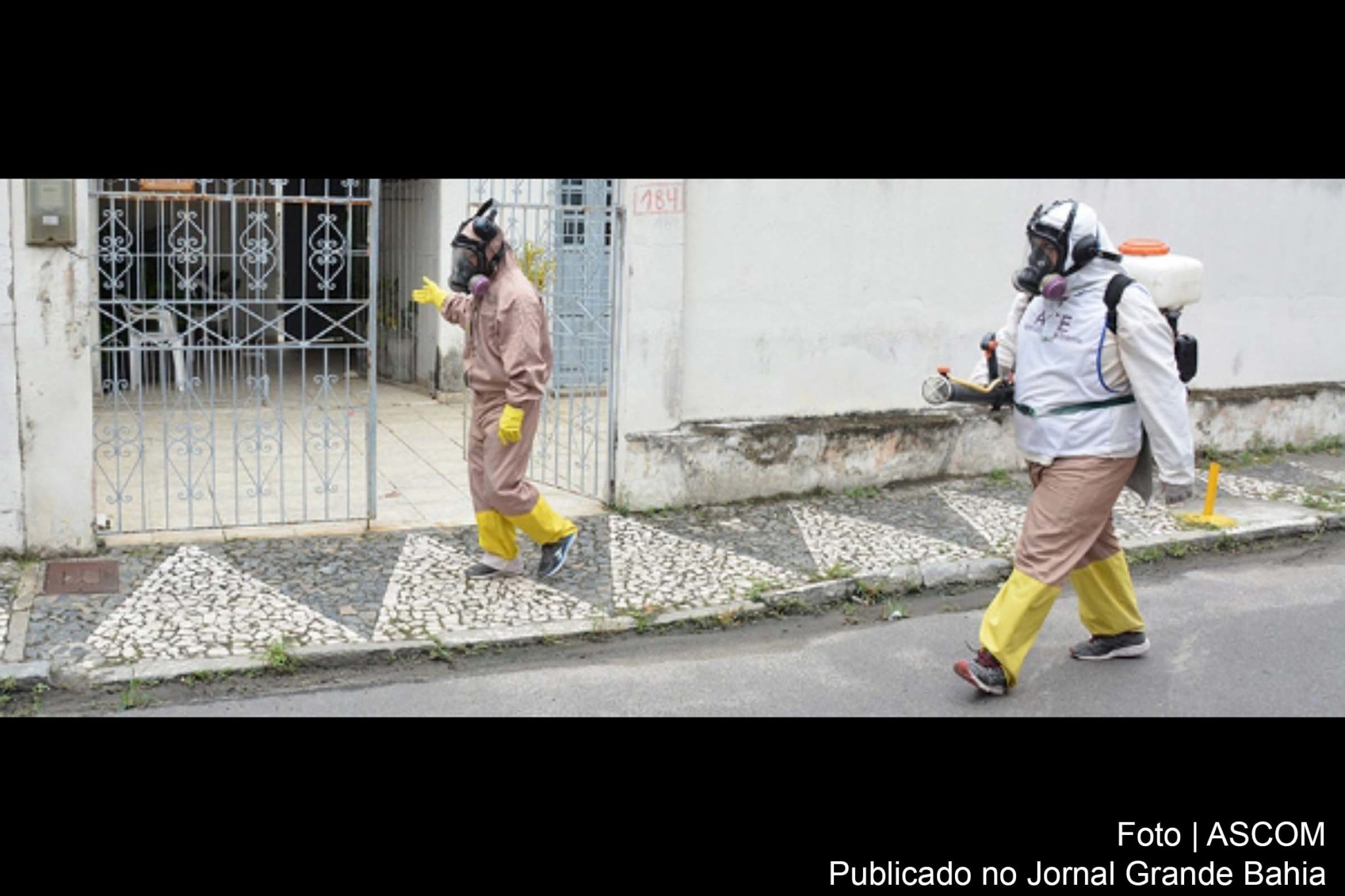 O município atingiu o pico da doença em maio com 1.571 casos confirmados; seis meses depois, apresentou uma queda de 98,4%, com 25 casos em novembro.