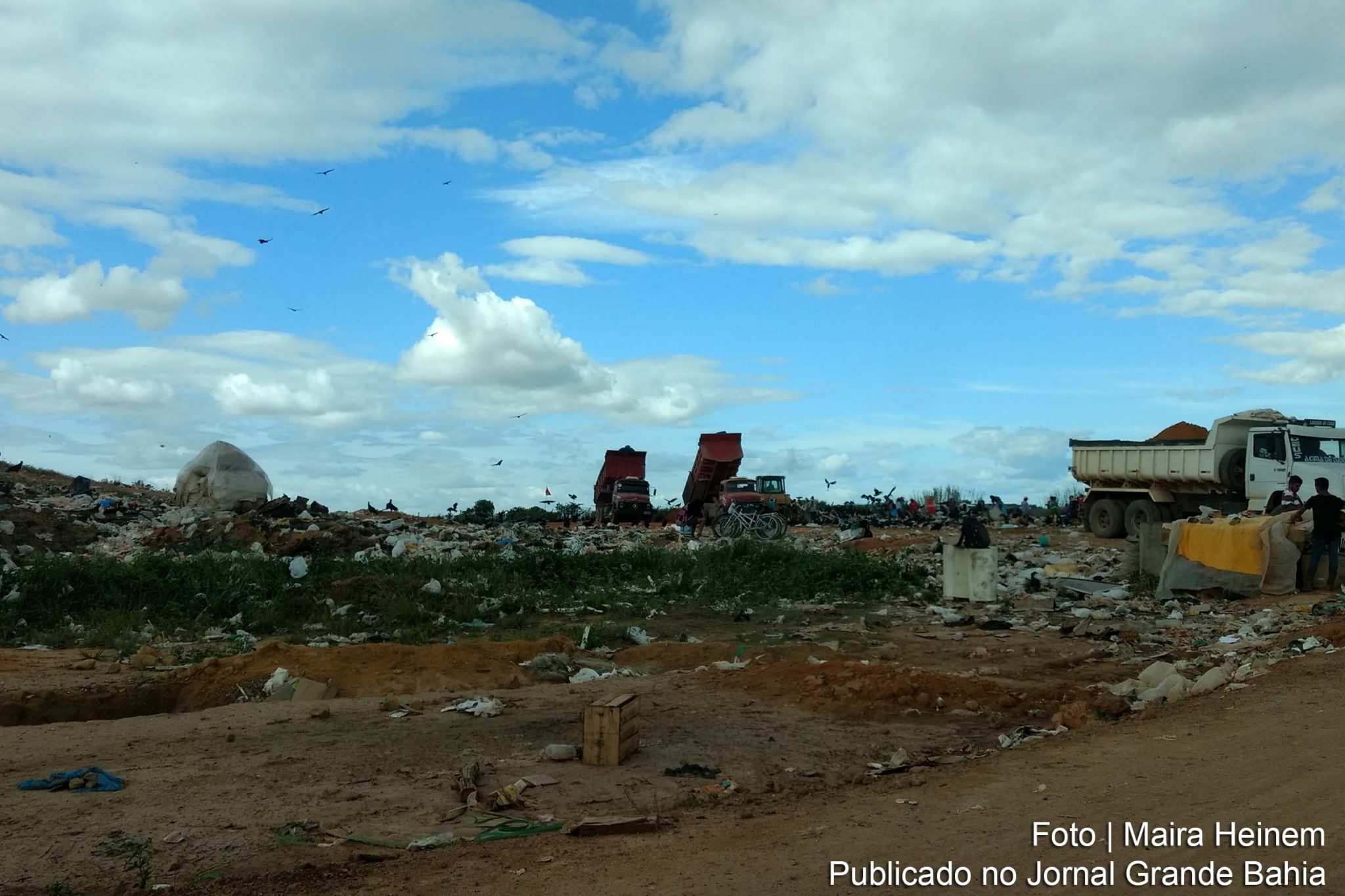 Destinação inadequada de lixo cresce 16% em uma década.