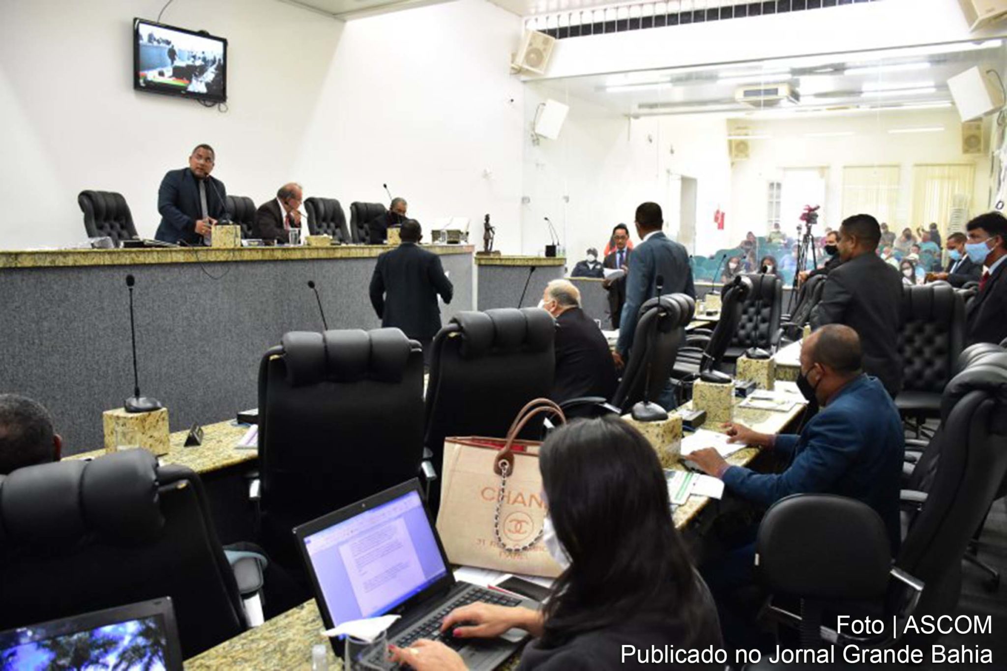 Conselho Municipal de Proteção, Defesa e Bem-estar dos Animais vai passar a contar com um integrante independente.