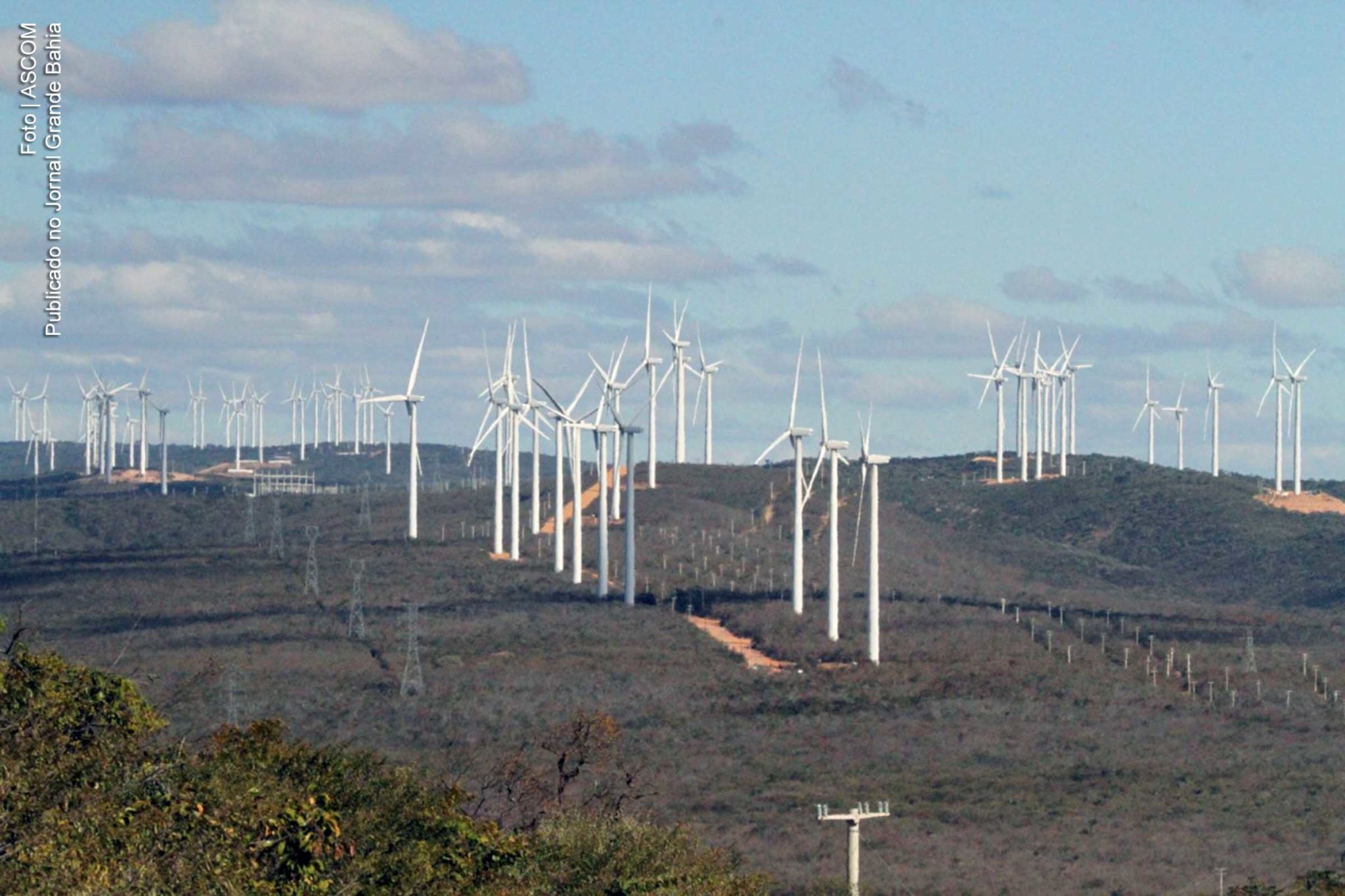 Vista aérea do Complexo Eólico Alto Sertão II.