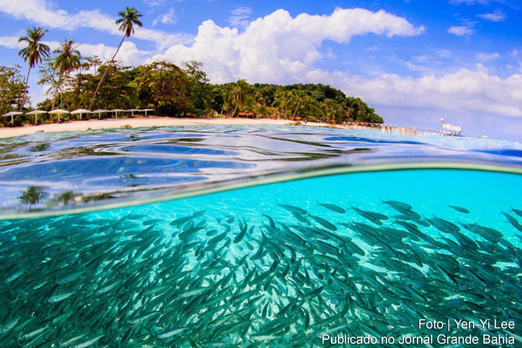 Secretário-geral António Guterres foi um dos participantes na Cúpula “Um Planeta para a Biodiversidade”; presidente da França, Emmanuel Macron, anunciou mais de US$ 14 bilhões para projeto de Muralha Verde no Sahel; chefe da ONU tem reuniões com secretário de Relações Exteriores do Reino Unido, presidente da COP 26 e primeiro-ministro durante este segundo dia de visita virtual ao país.