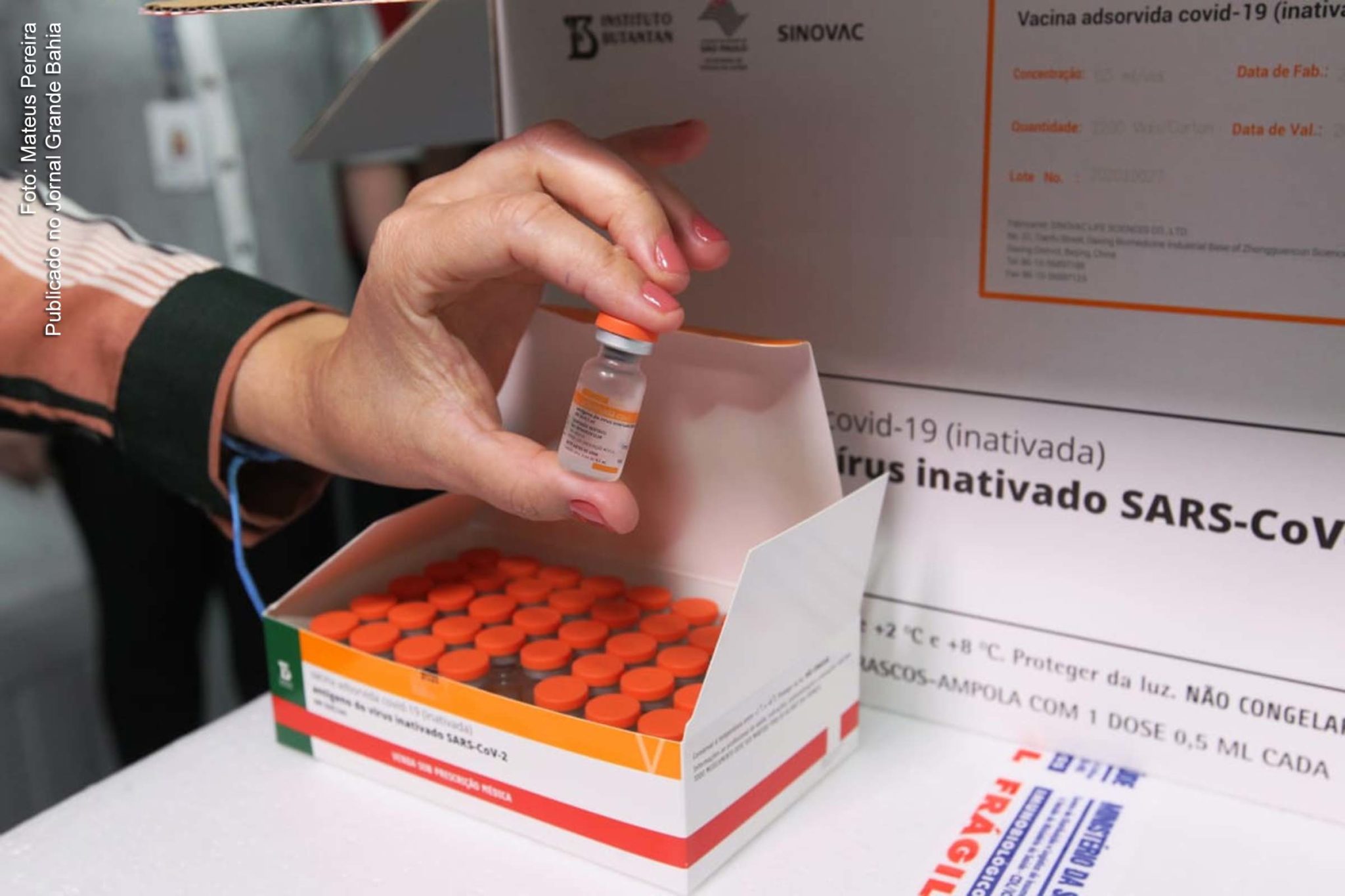 Lote de doses de vacinas contra o Covid-19.