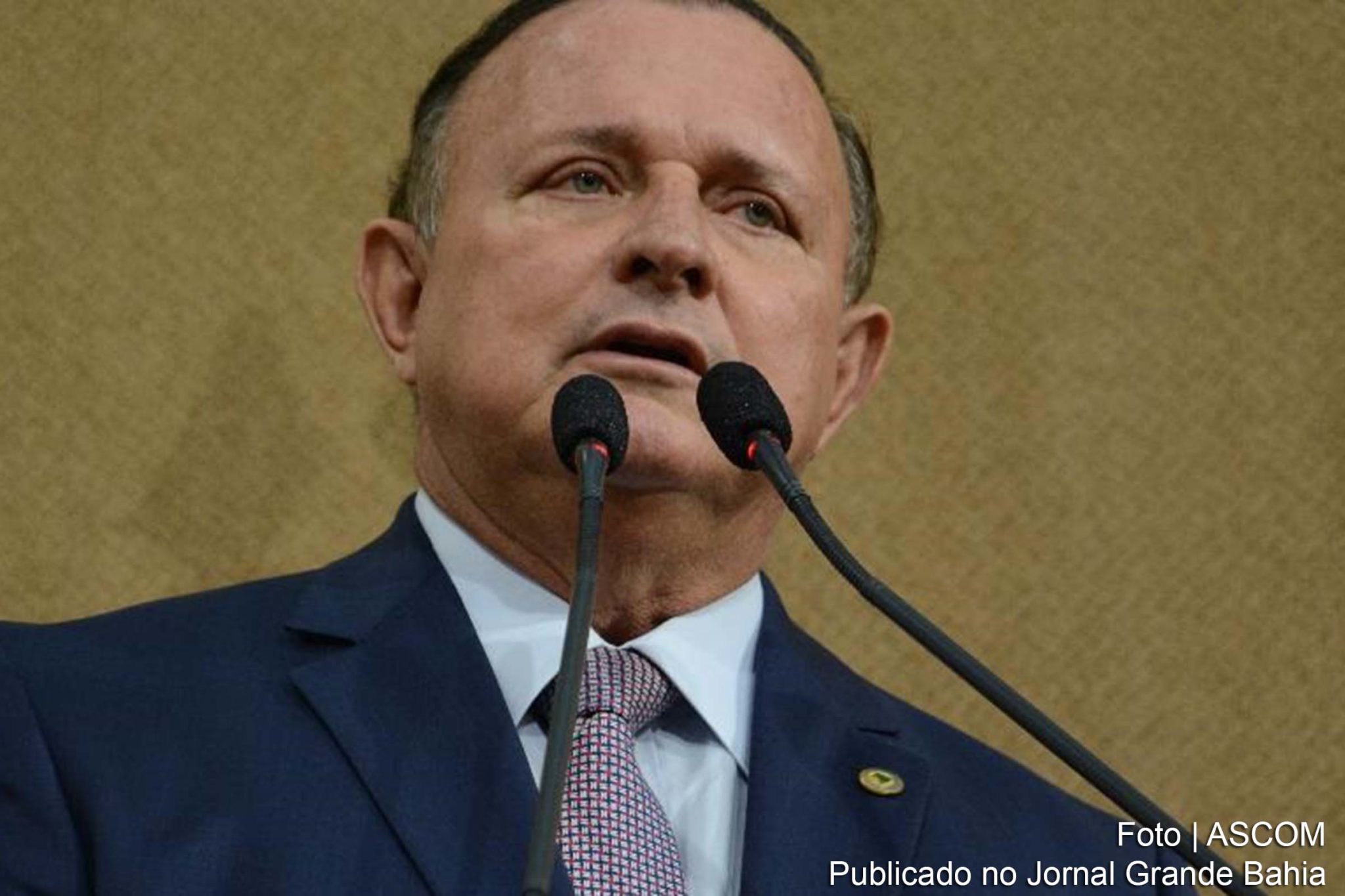 O deputado Adolfo Menezes.