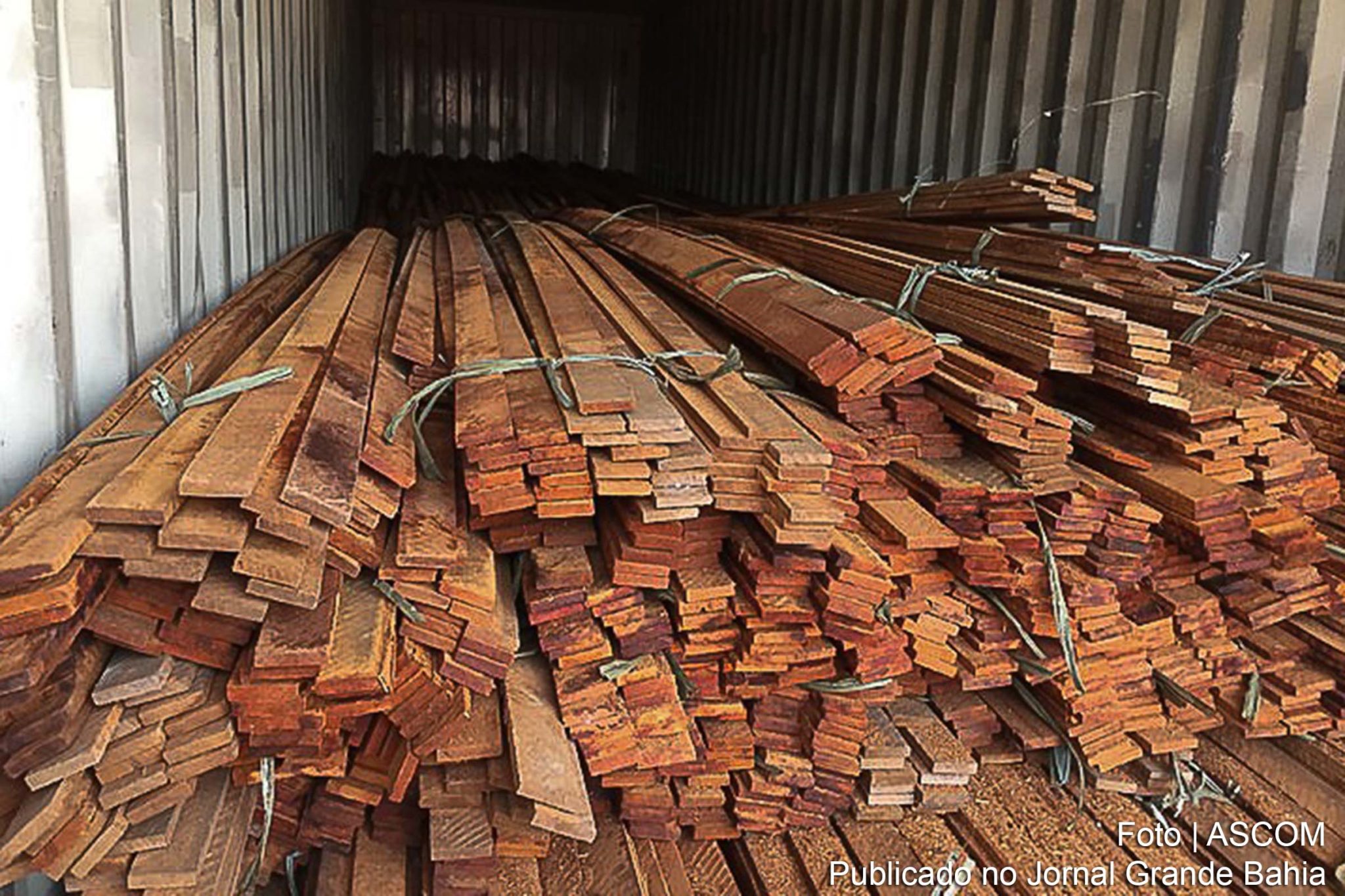 Polícia Federal combate desmatamento ilegal.