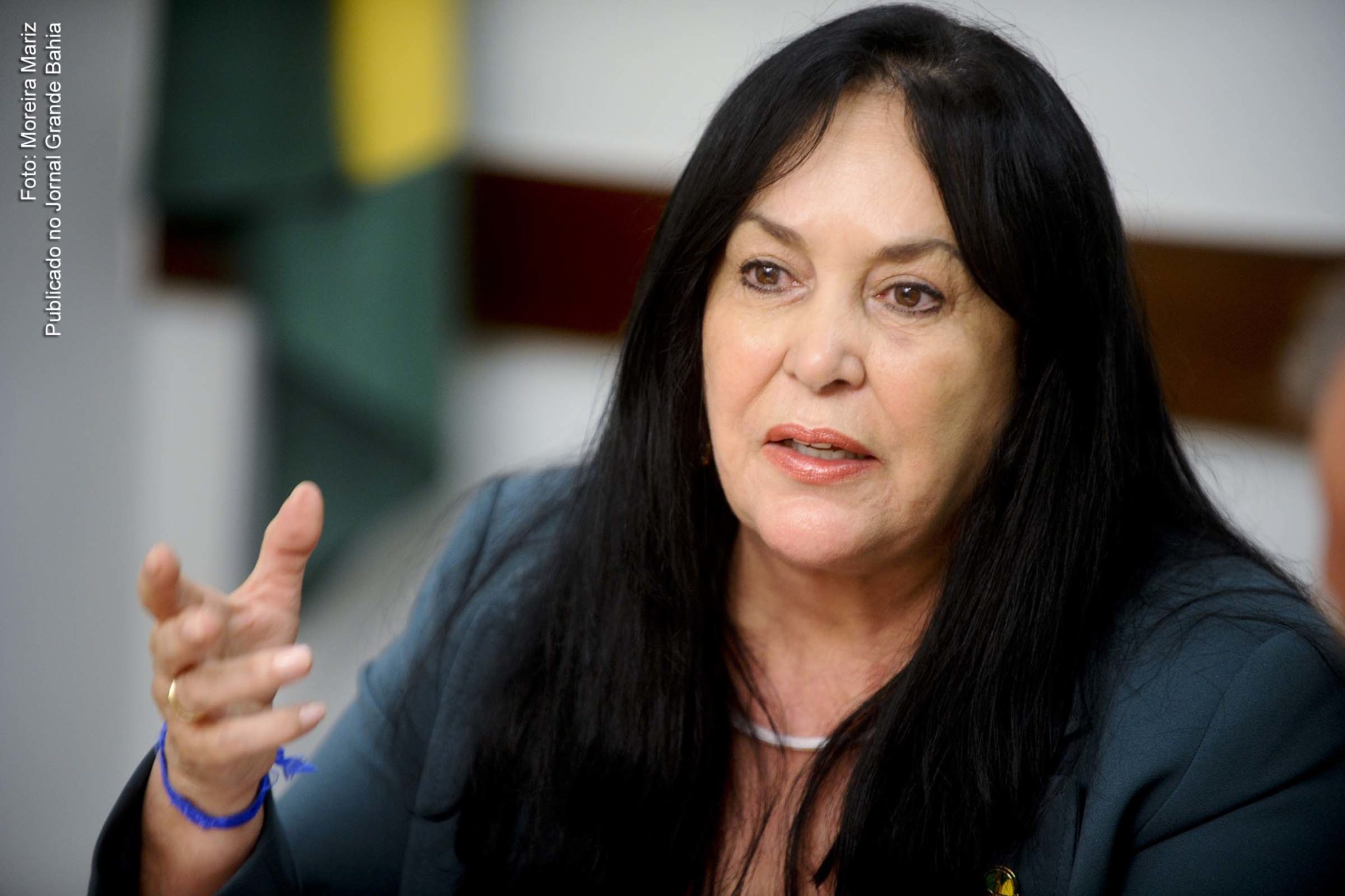 Senadora Rose de Freitas (PMDB-ES).