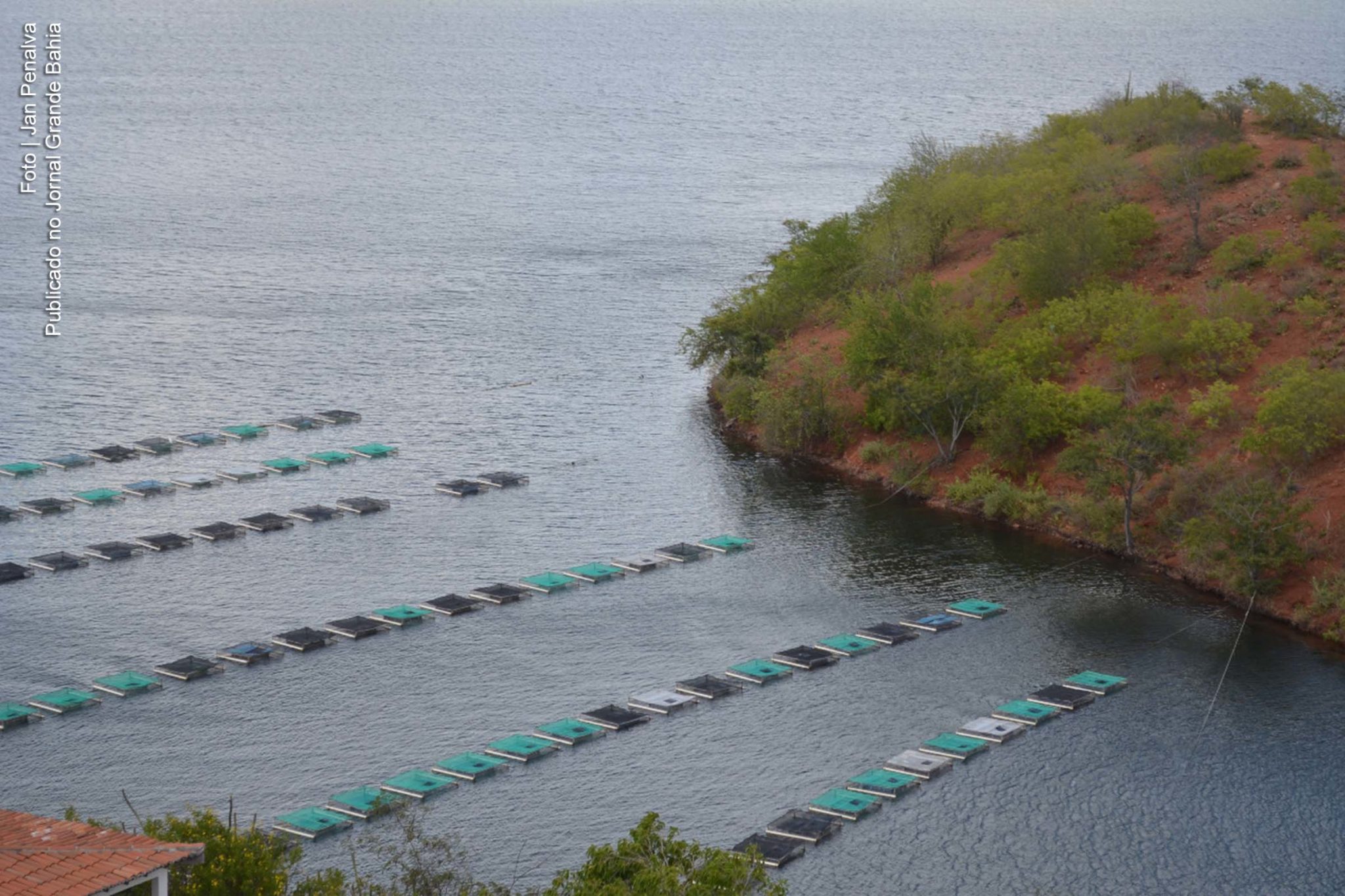 Projeto do Governo Rui Costa irá produzir 100 toneladas de pescado por ano no Médio Rio de Contas