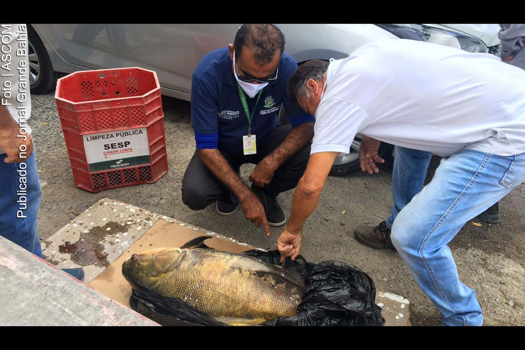 Morte de peixes no Parque da Lagoa Radialista Erivaldo Cerqueira, no Bairro Baraúnas, está sendo apurada por técnicos da Secretaria do Meio Ambiente e Recursos Naturais (SEMMAM).