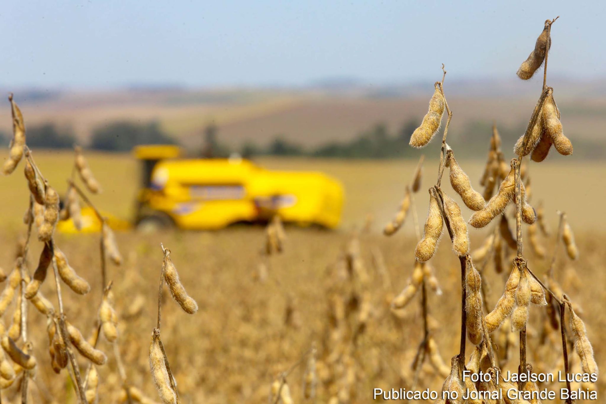 Agronegócio impulsiona economia do estado. Resultado de 2020 do PIB da Bahia ficou acima do nacional, que apresentou queda de 4,1%.