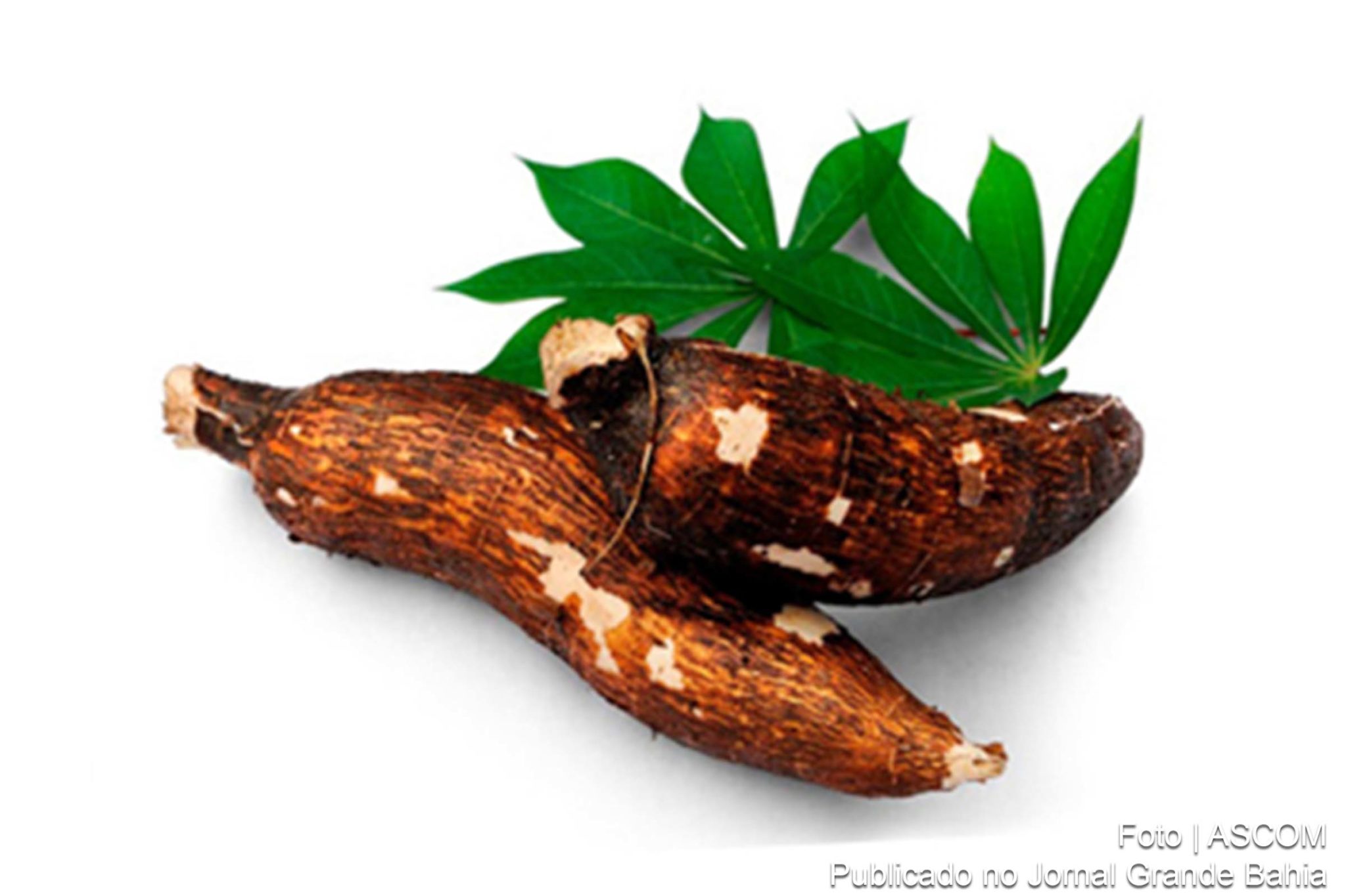 Projeto busca minimizar danos ao meio ambiente causados por agrotóxicos.