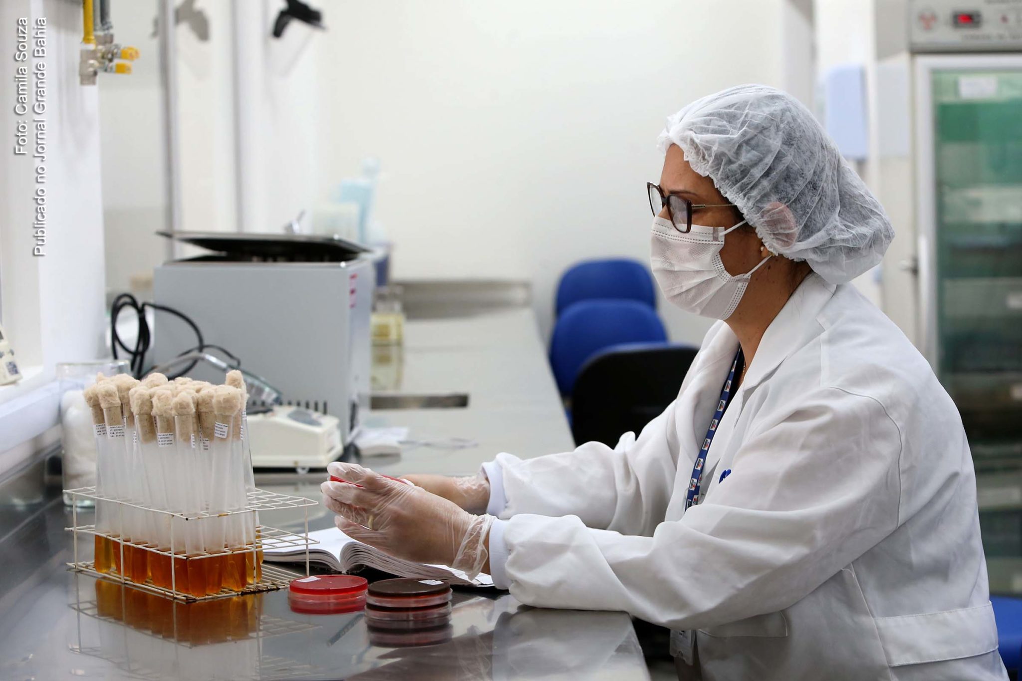 Lacen investiga cepas virais em circulação na comunidade da Bahia.