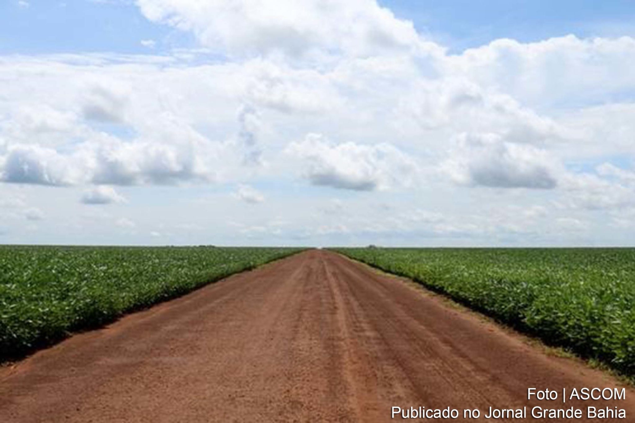 Na nova rota da soja, grão sai de Mato Grosso, maior produtor nacional, e corta a Floresta Amazônica pela BR-163. Empresa de logística que recebeu investimento e selo de qualidade do banco prejudica comunidades ao longo de rota internacional da soja que corta a floresta, diz relatório. Desmatamento e poluição estão entre impactos.