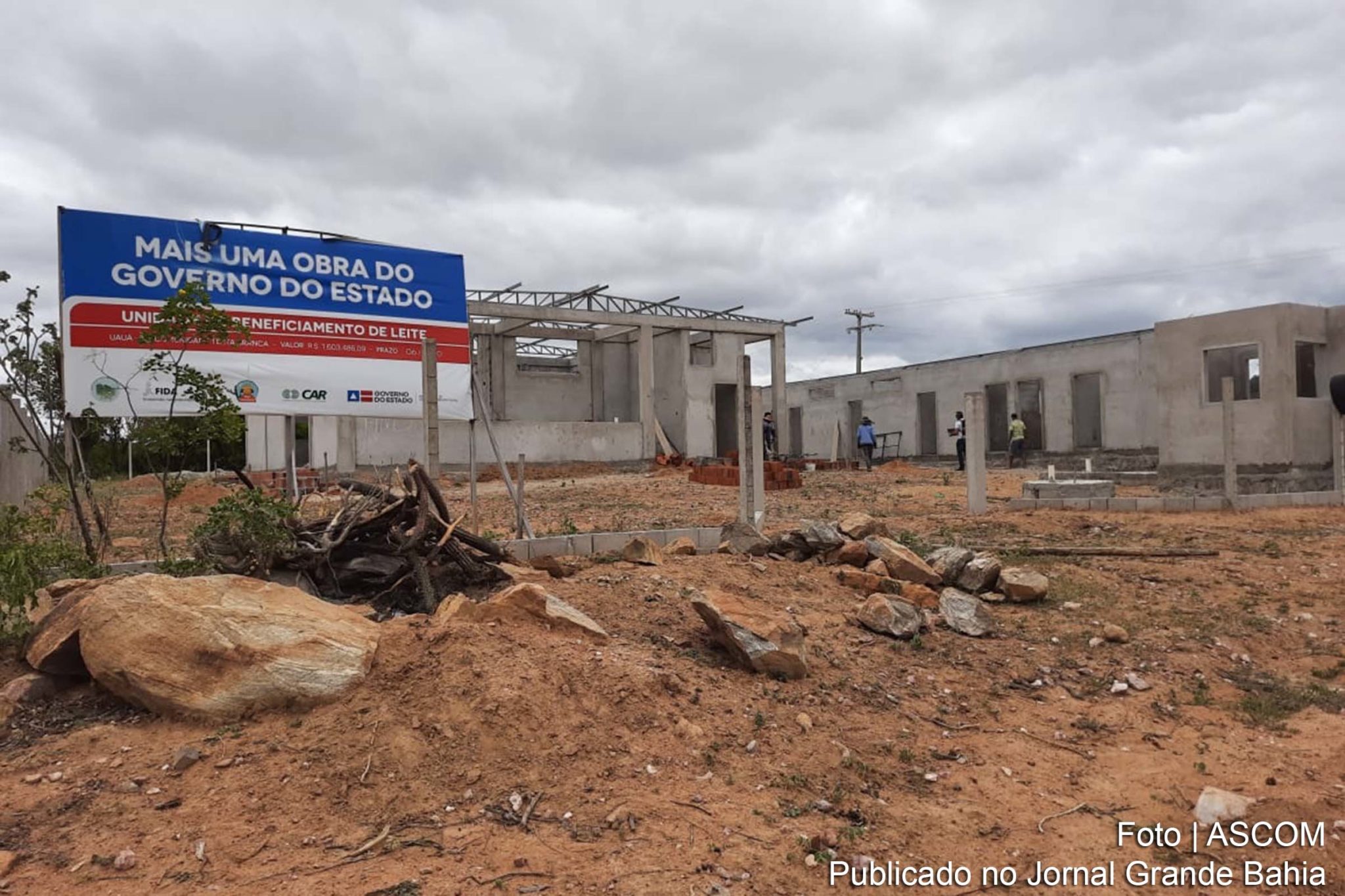 Laticínio em Uauá beneficiará diretamente 200 famílias produtoras de cabra leiteira