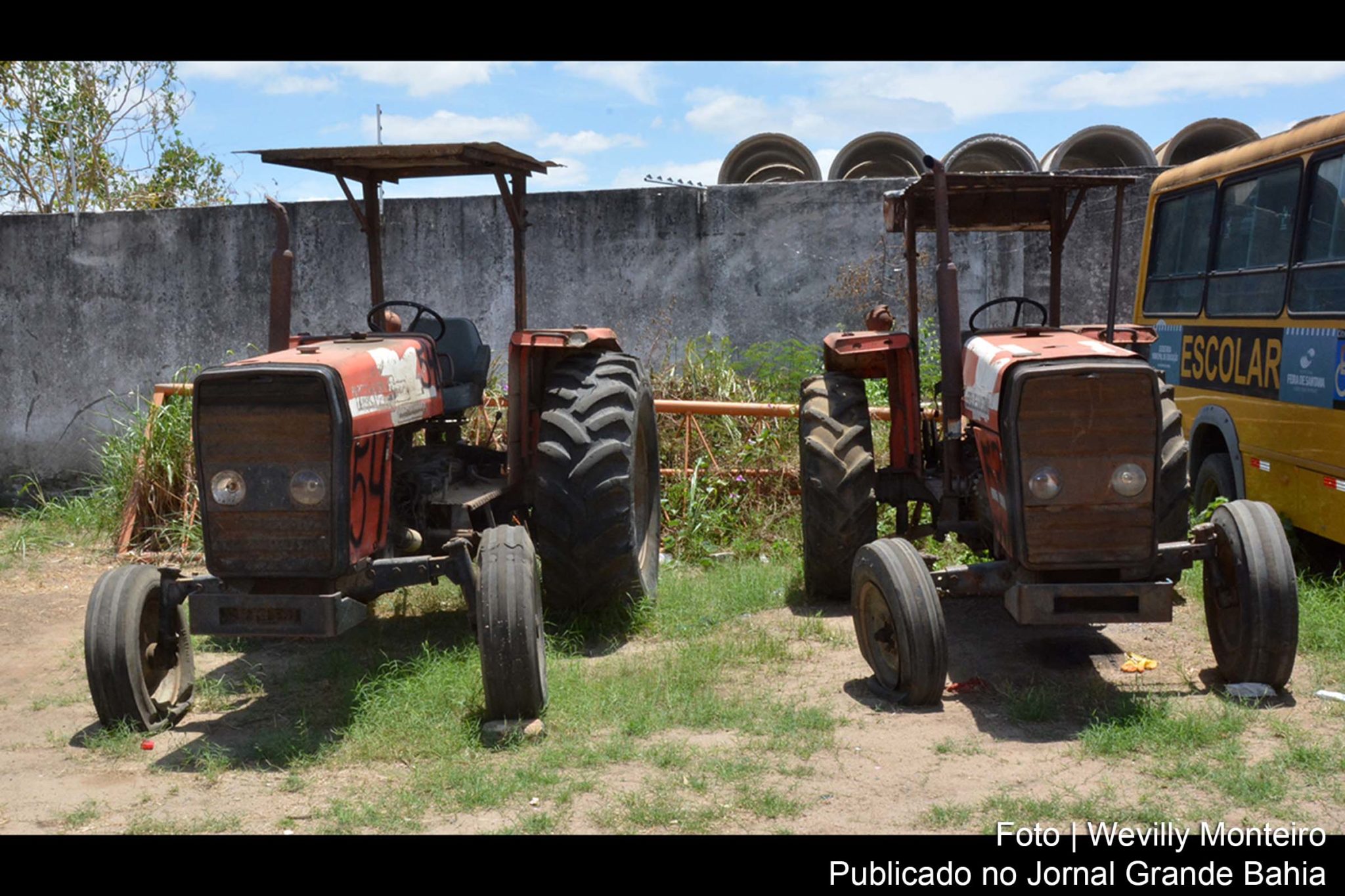 Os lotes estão expostos à visitação pública no Estádio Joia da Princesa e no pátio da Fundação Egberto Costa.