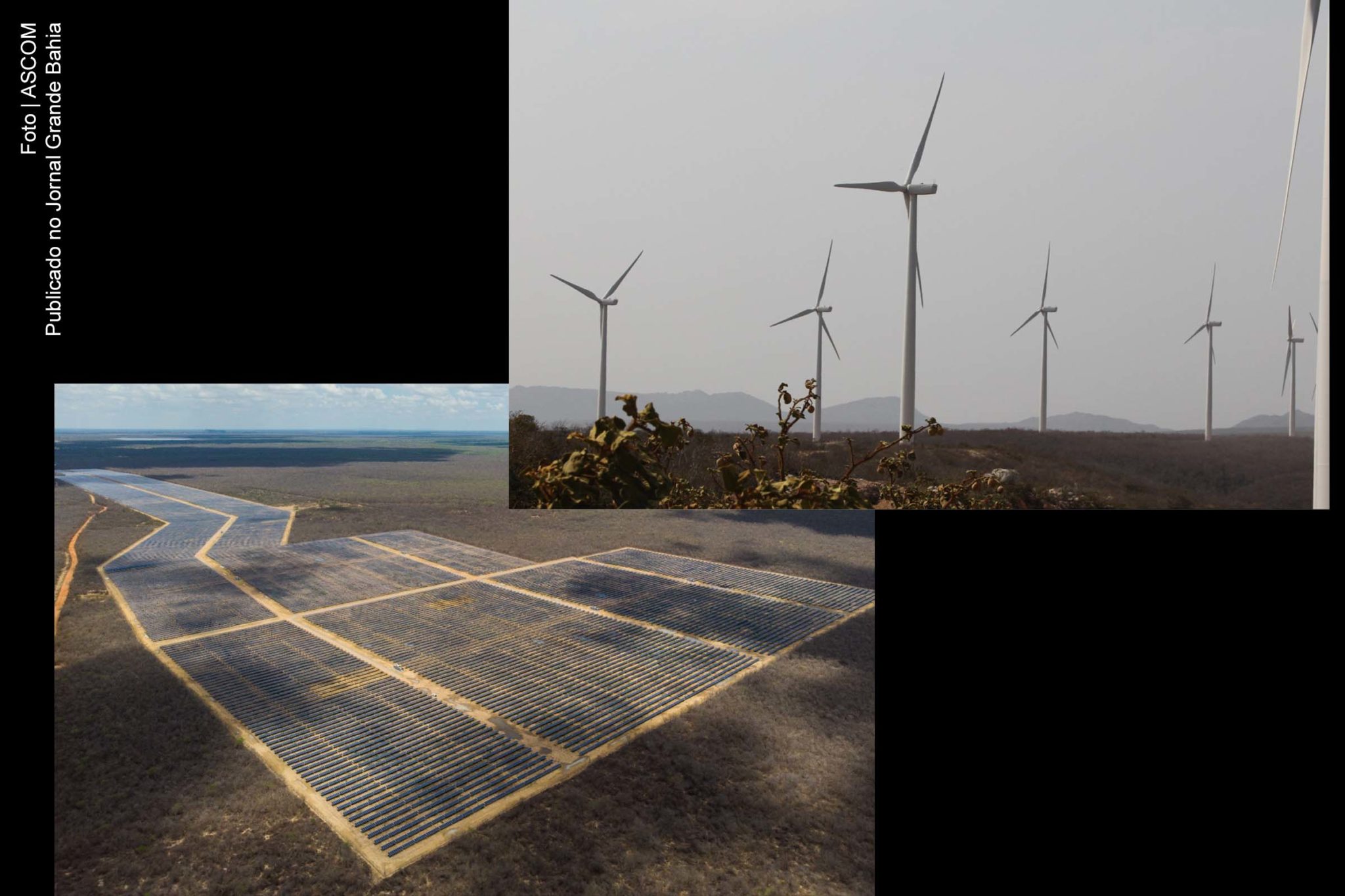 Projetos de energia eólica e solar serão leiloados para desenvolvimento na Bahia.