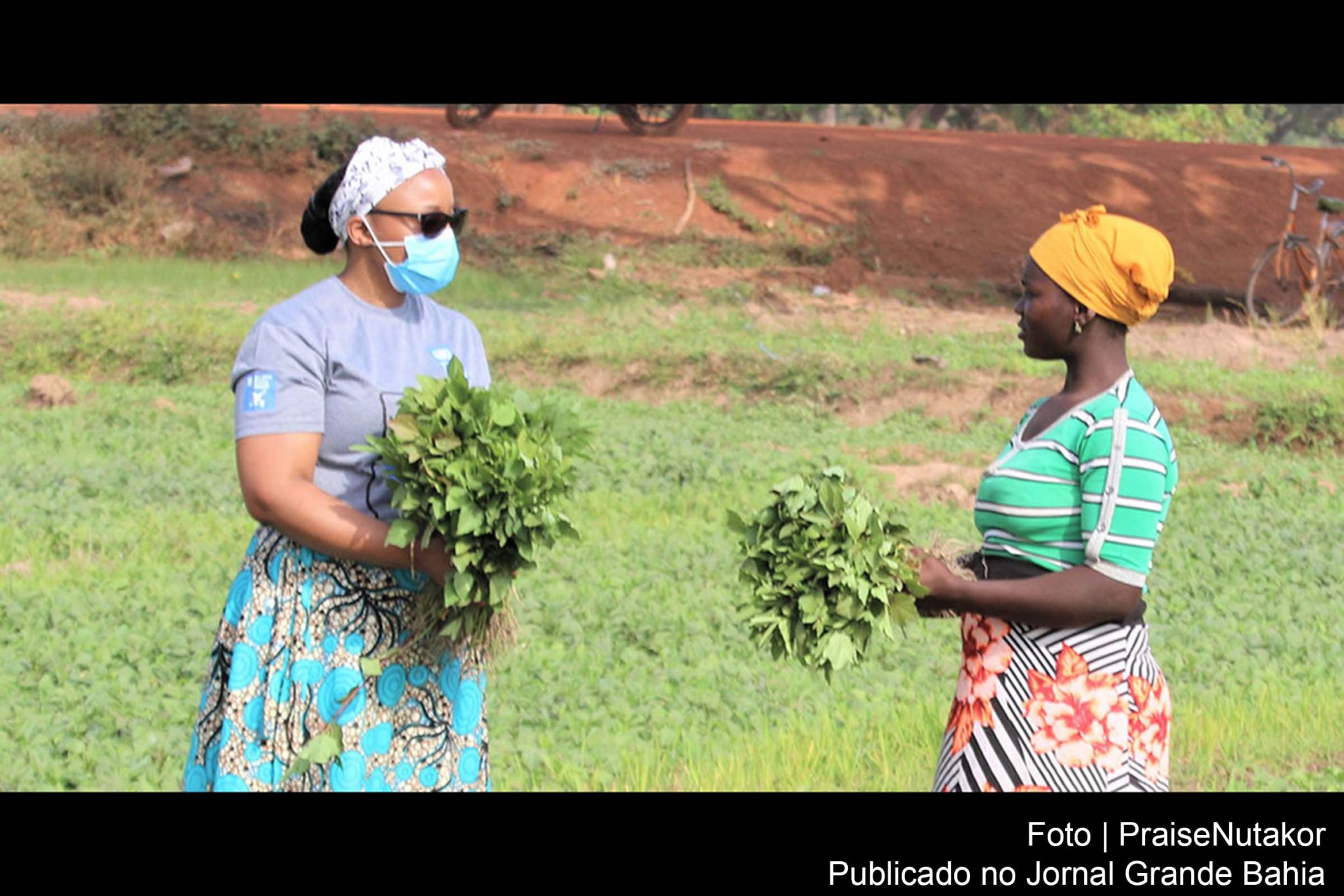 Renda mínima temporária poderia ajudar mulheres a criar independência econômica.