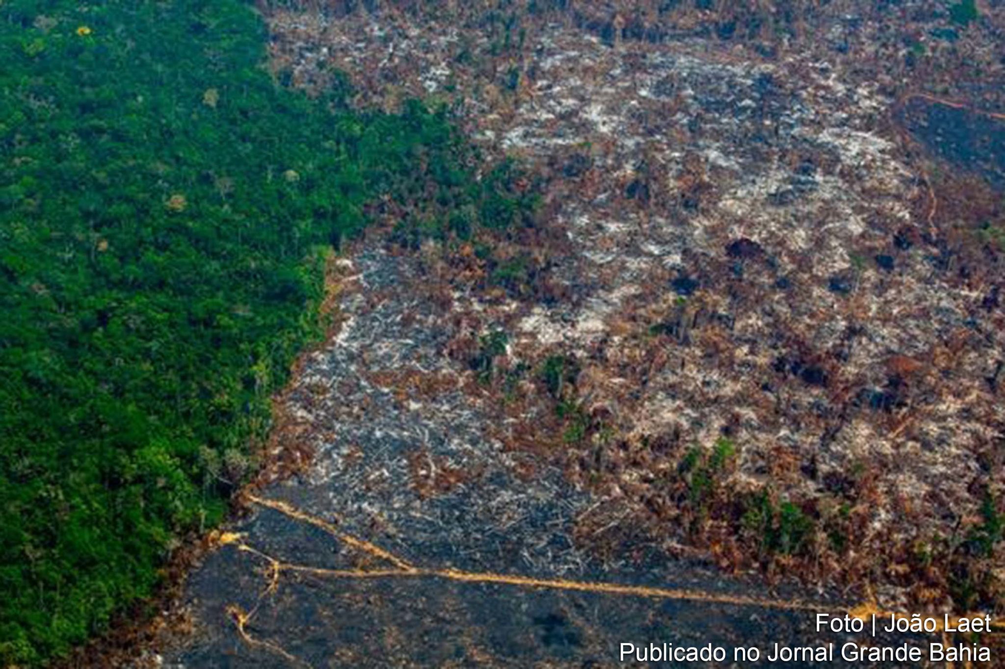 Vista aérea de desmatamento na Reserva Biológica Nascentes da Serra do Cachimbo, em Altamira, Pará. Carta assinada por 93 instituições, também financeiras, ameaça retirada de investimentos no Brasil, pede plano concreto contra desmatamento e proteção de povos indígenas.