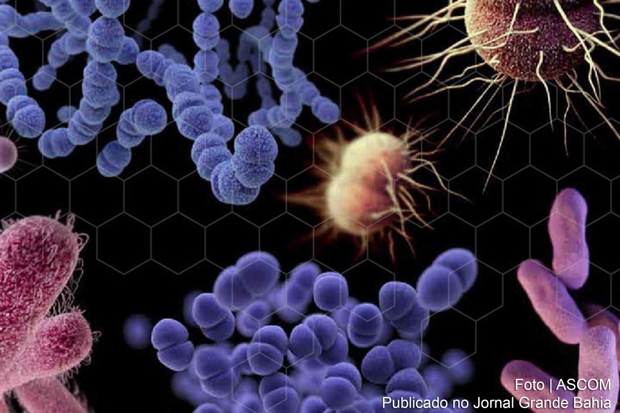 A escassez de novos tratamentos para doenças graves deixou as pessoas perigosamente expostas às bactérias mais perigosas do mundo. Agência da ONU diz que situação estimula surgimento e disseminação da resistência aos medicamentos. 43 antibióticos em desenvolvimento não resolvem o problema; quase todos os novos produtos lançados nas últimas décadas são variações de outros descobertos nos anos 1980.