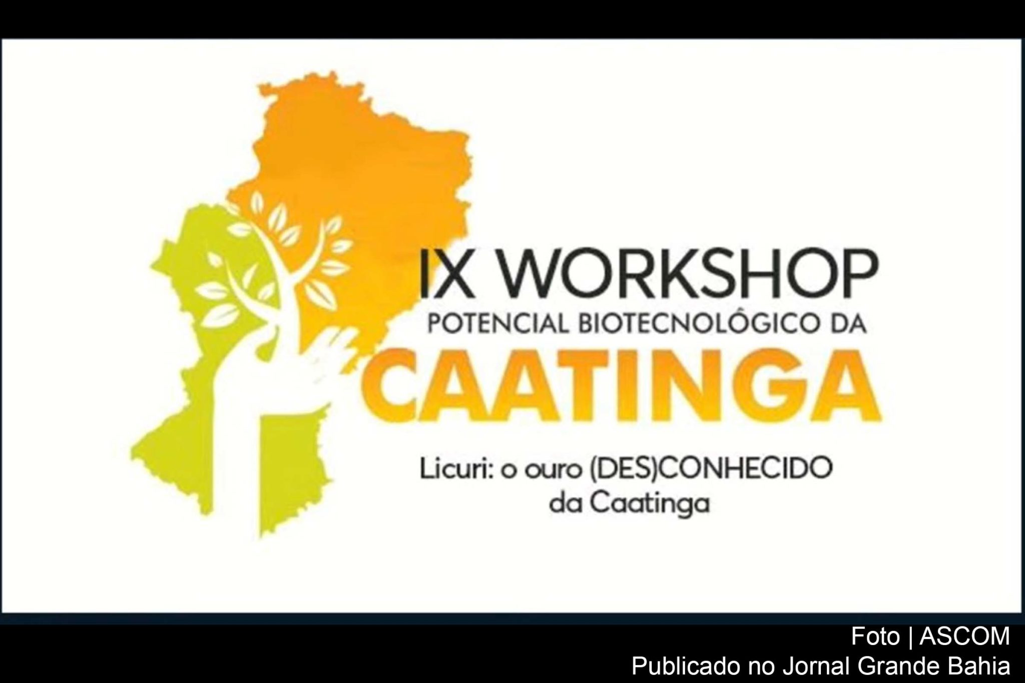 Cartaz anuncia IX Workshop Potencial Biotecnológico da Caatinga.