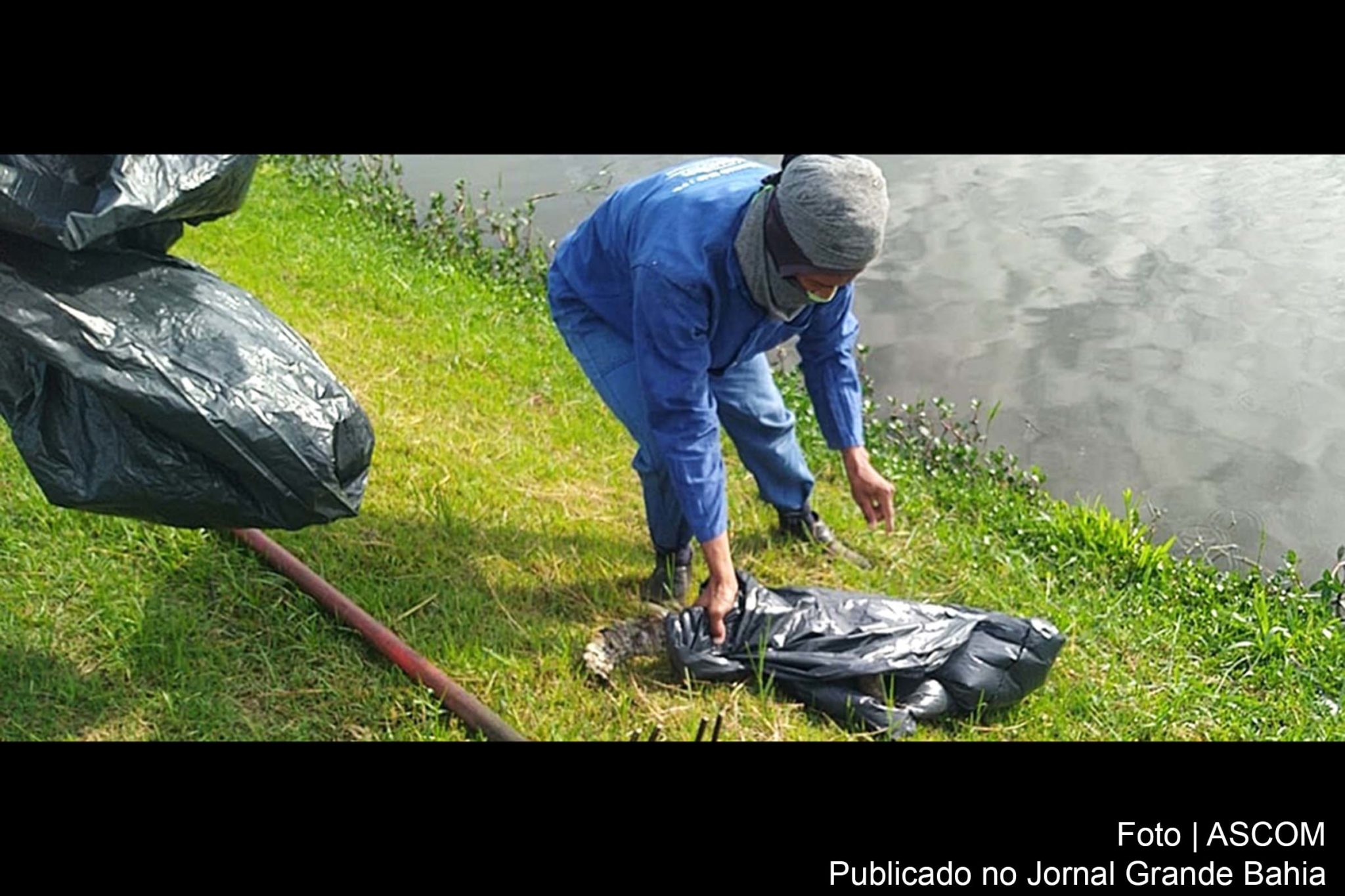 Em média são recolhidos 400 animais por mês e o transporte especial é feito por uma equipe capacitada, que faz uso de Equipamentos de Proteção Individual (EPI’s).