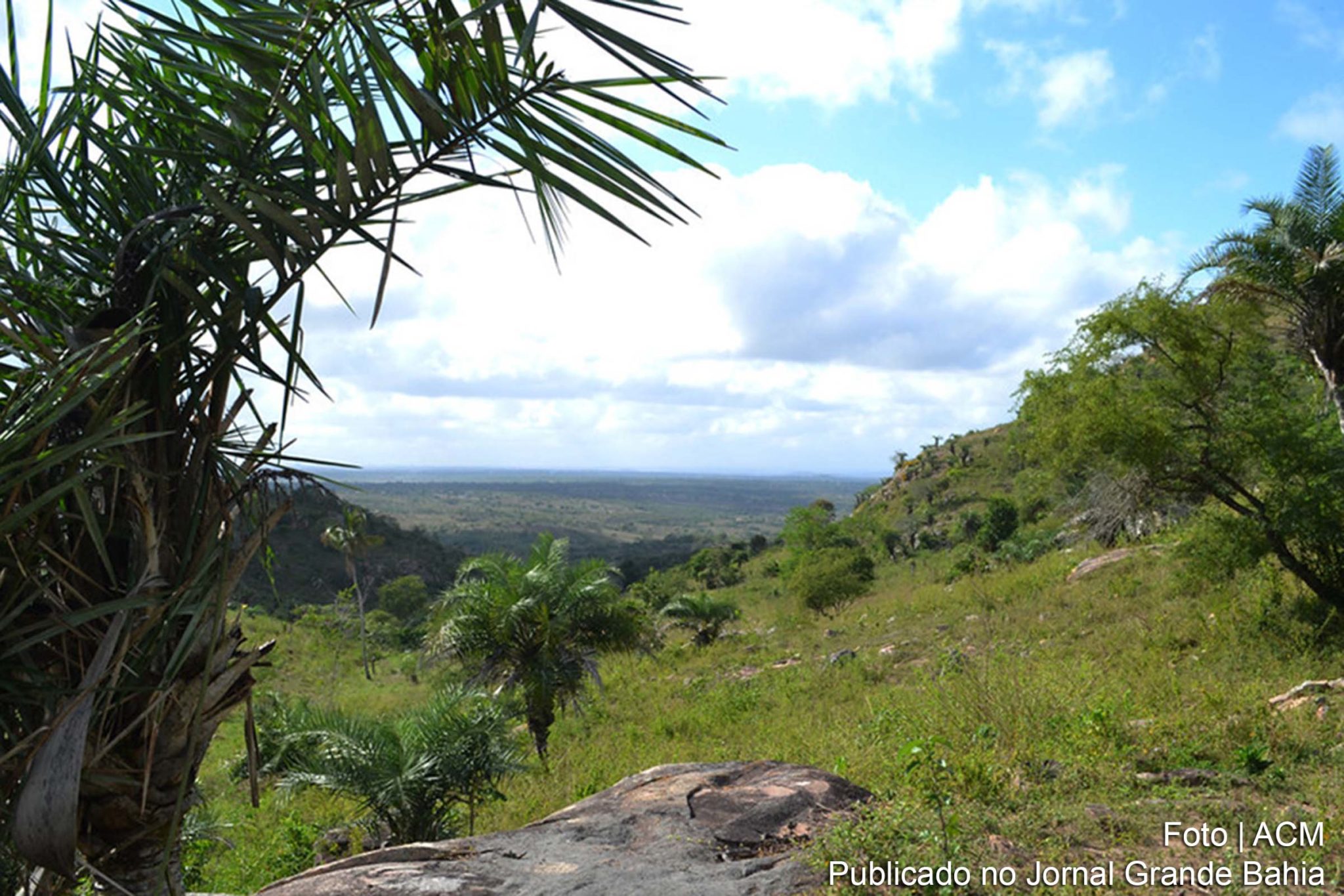 O bioma caatinga é exclusivamente brasileiro e compreende cerca de 11% do território nacional e 70% da Região Nordeste.