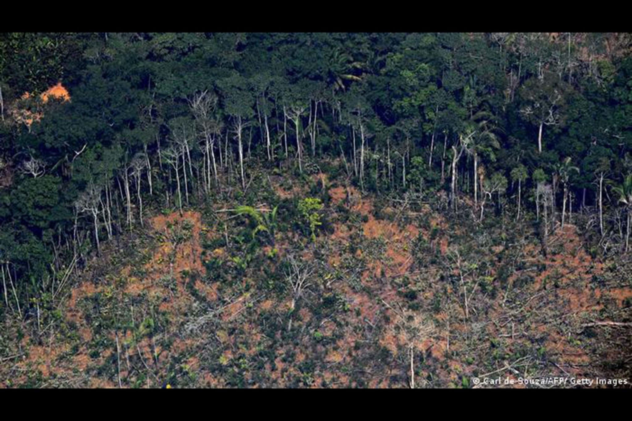 Desmatamento na Amazônia bateu recordes nos últimos anos. Maior doador do fundo afirma que repasses só serão retomados se houver real vontade do governo Bolsonaro de proteger a floresta. Iniciativa foi paralisada em 2019 após Brasil atuar contra mecanismo.
