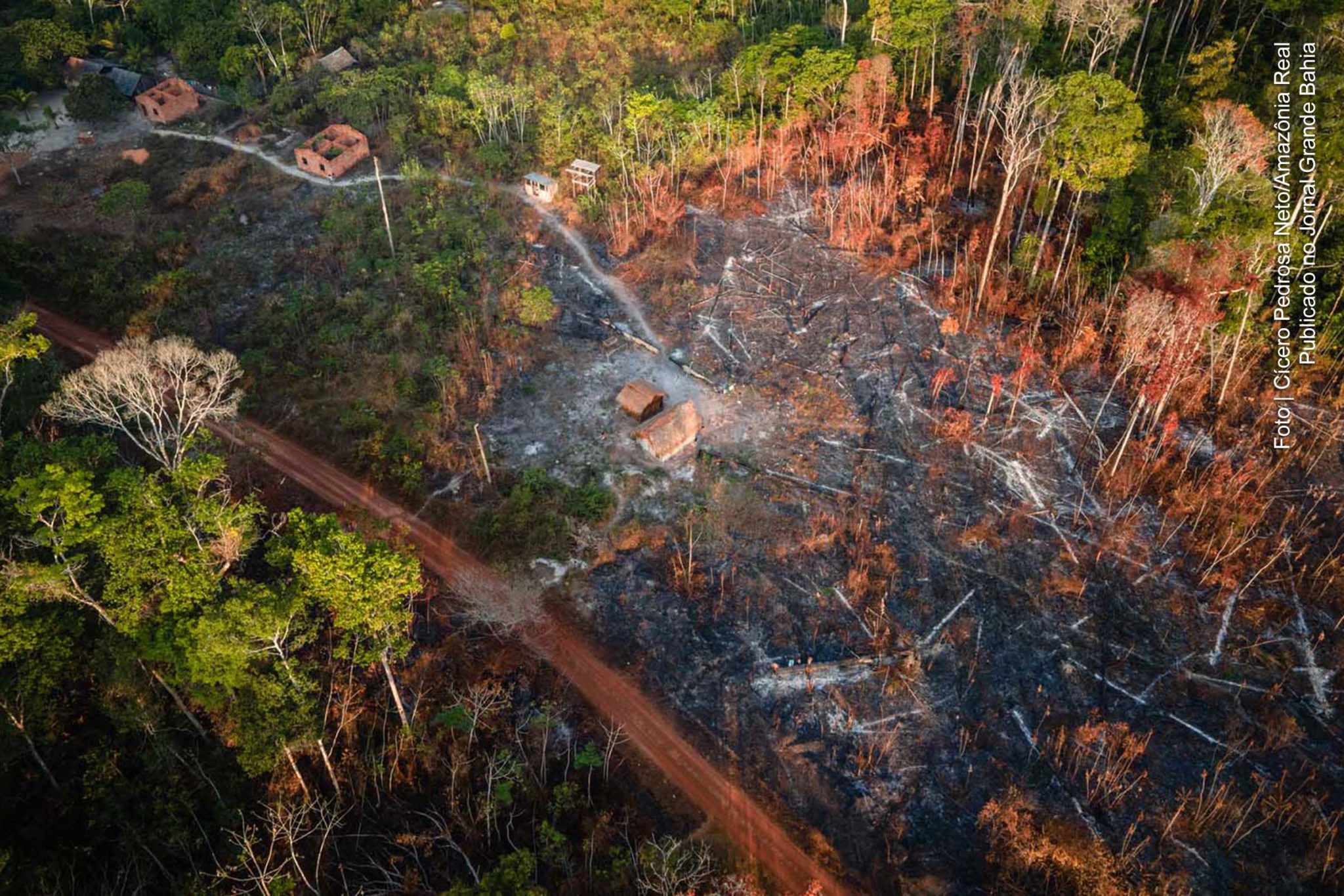 Incêndios florestais e desmatamento atingem terra indígena Alto Rio Guamá, no Pará.