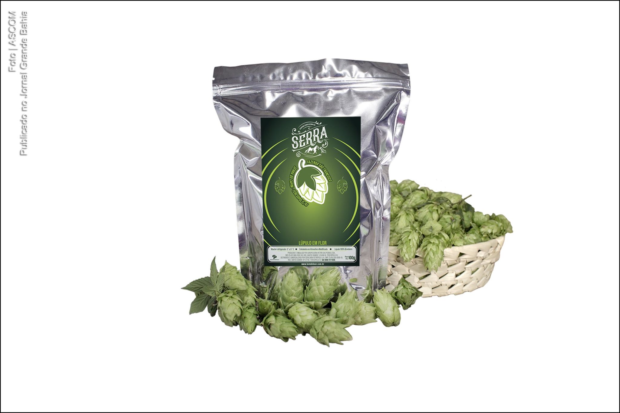 Grupo Petrópolis inicia venda de lúpulo cultivado no Brasil