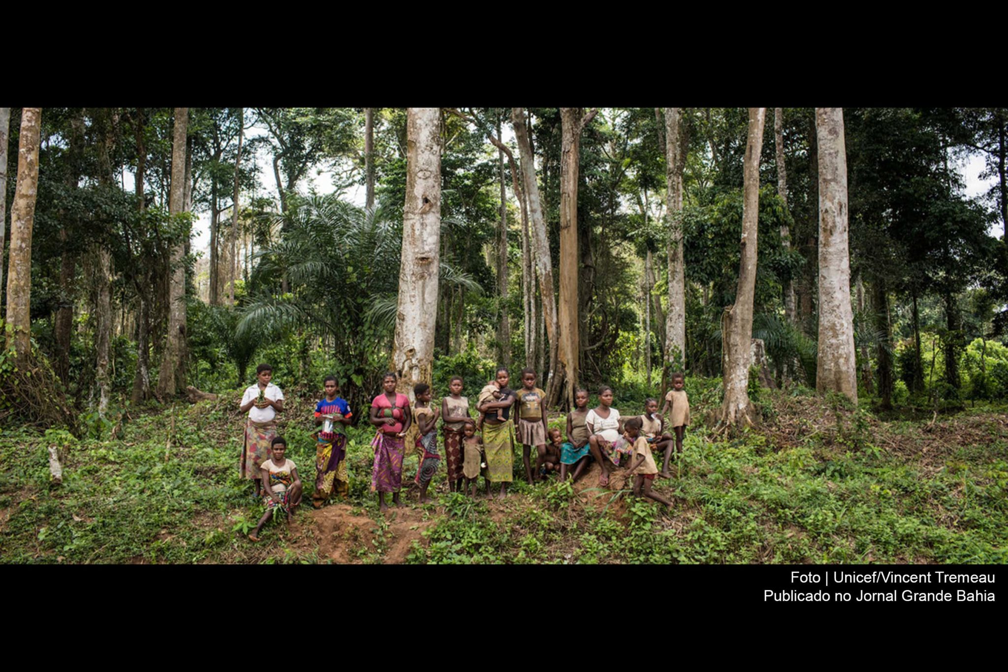 Mais 34,3 milhões de pessoas podem ter caído na pobreza extrema em 2020. Manejo florestal sustentável é considerado um meio para construir economias e sociedades resilientes.