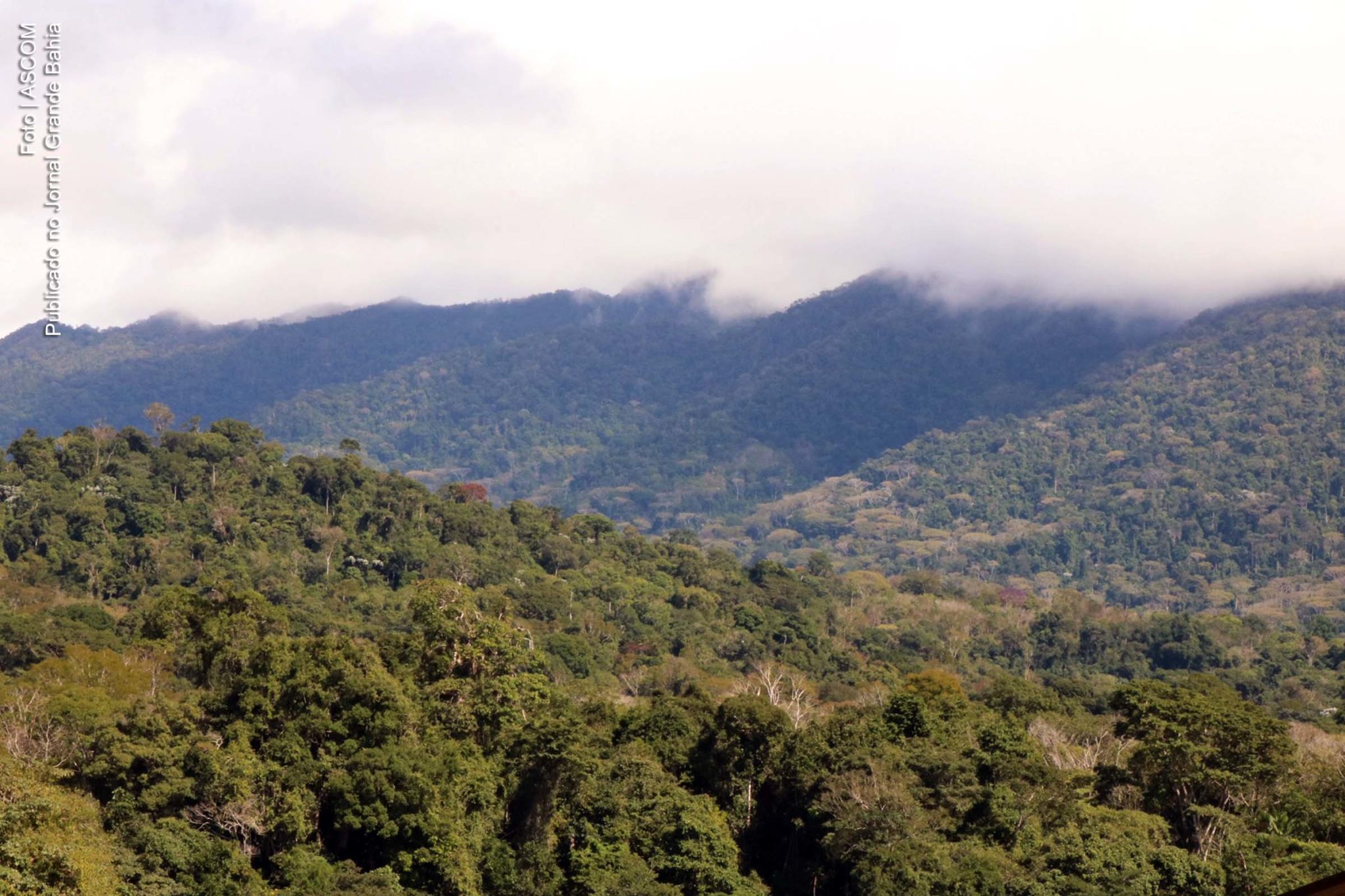 Vista da Terra Indígena Tupinambá de Olivença, em Ilhéus, pertencente à Comunidade Tupinambá da Serra do Padeiro.