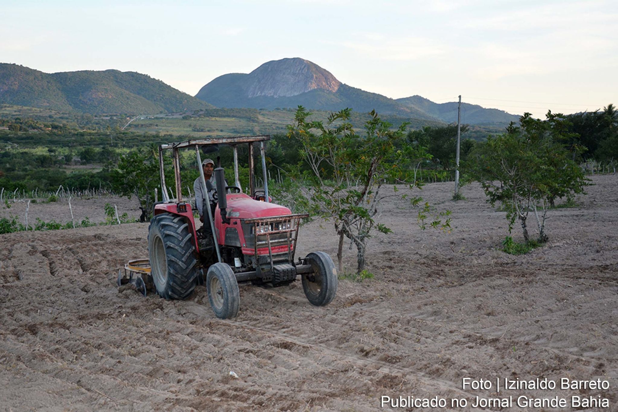Preparar o terreno para receber as sementes é essencial para o plantio, principalmente para agricultores que vivem disso. Vinte famílias estão sendo beneficiadas.