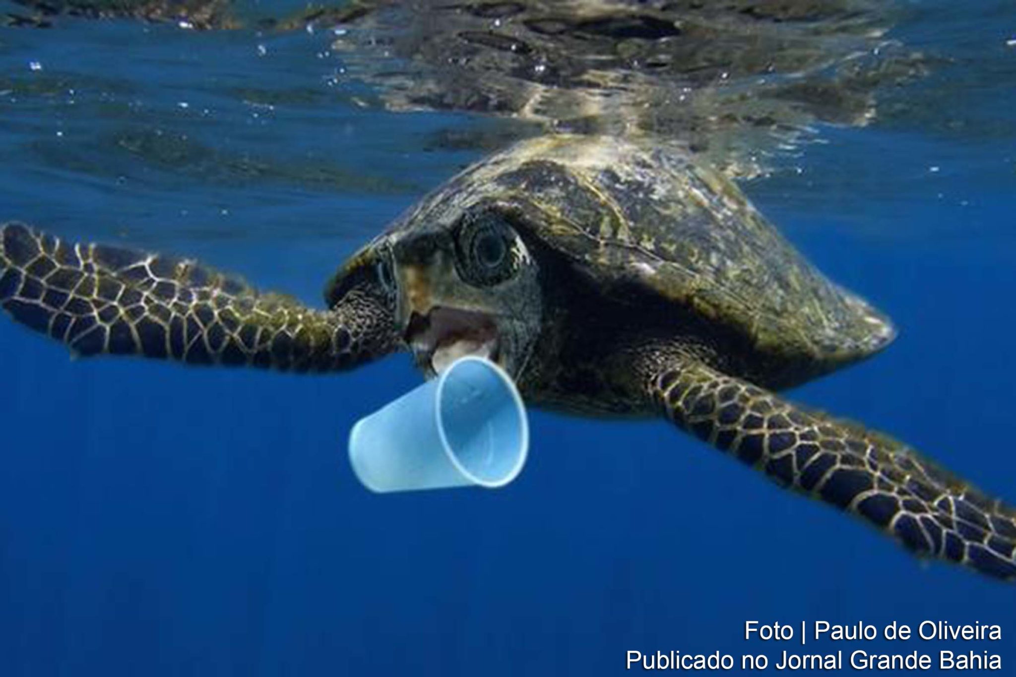 Brasileira Braskem aparece na lista de fundação australiana. Com baixa taxa de reciclagem, produção de plástico descartável está se tornando um dos principais fatores que contribuem para o aquecimento global.