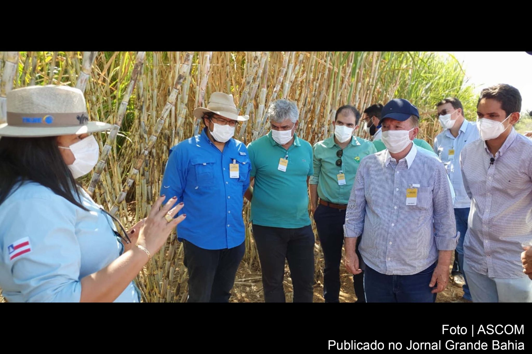 Vice-governador João Leão incentiva investimento no Polo Agroindustrial do Médio São Francisco.