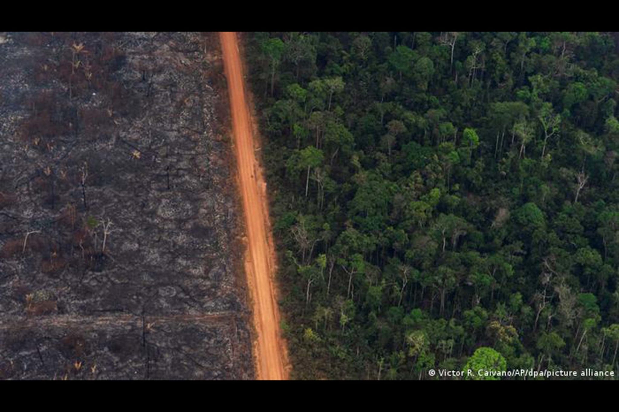 Área desmatada na Amazônia, bioma concentra 61% da área devastada em 2020. Relatório do MapBiomas que engloba os seis biomas brasileiros aponta que 99% da devastação ocorrida em 2020 foi ilegal. Estrago foi causado por apenas 1% das propriedades rurais.