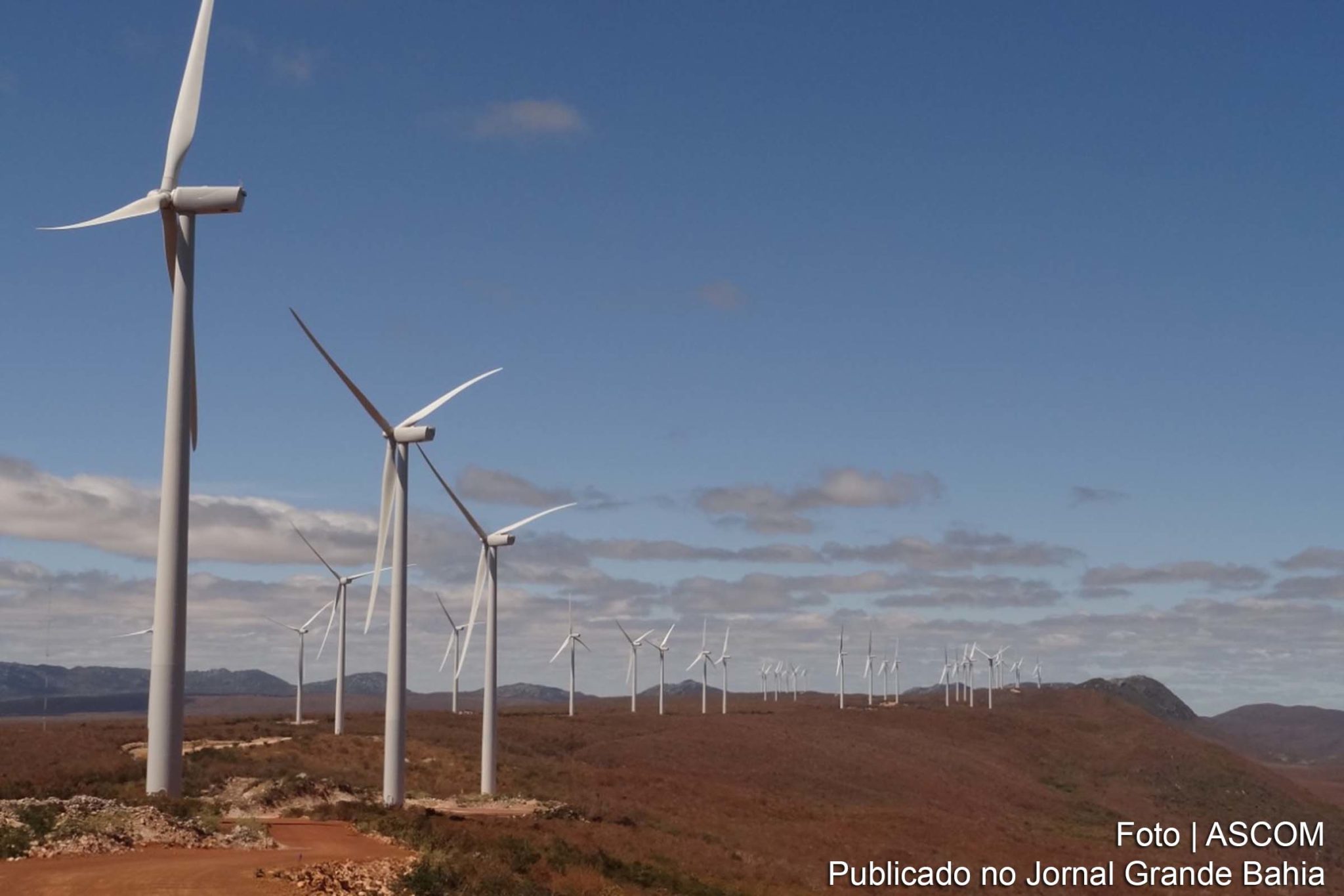 Bahia pode receber até R$ 1 bilhão em investimento do setor da energia eólica.