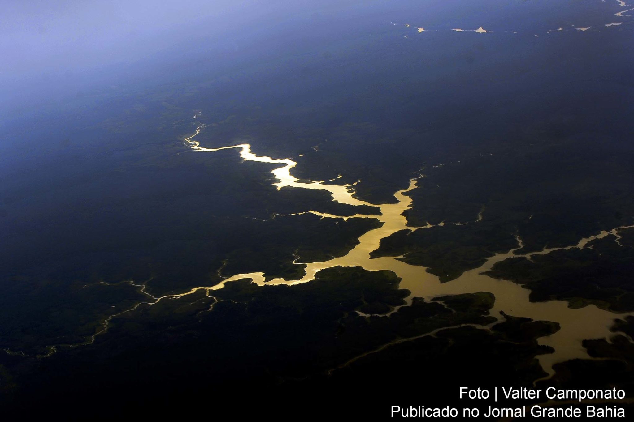 Estudo do bioma do Brasil revela novas espécies.