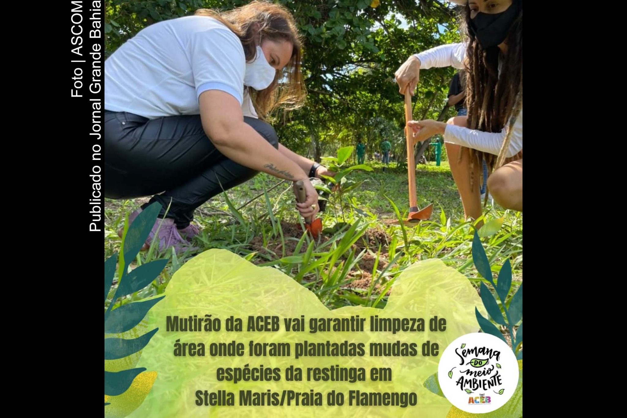 Cartaz anuncia programação da Semana do Meio Ambiente em Salvador.