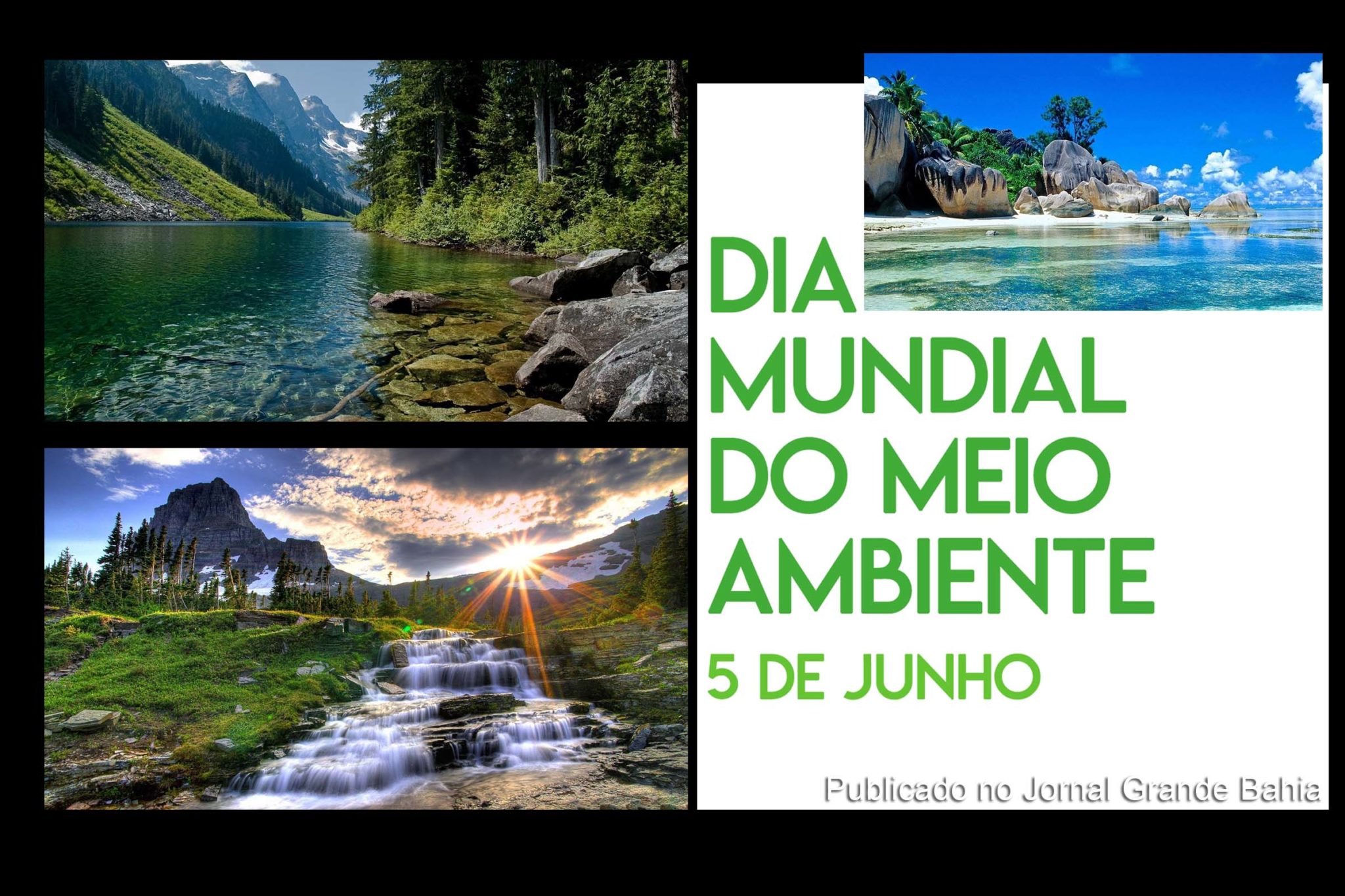 Laudato Si: sobre o cuidado da casa comum; Proposta para renovação dos valores – Parte II | Por Ângelo Augusto