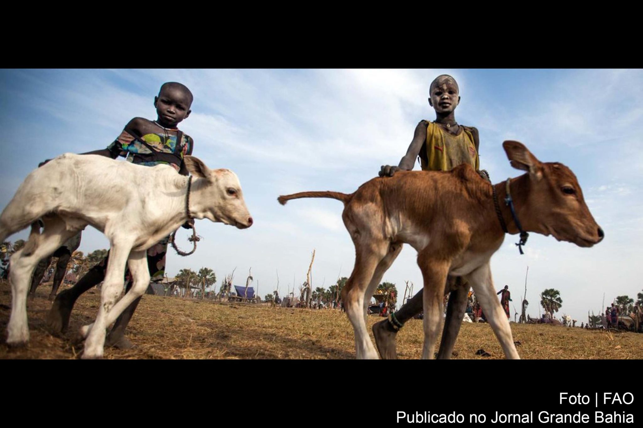 Organização quer que líderes internacionais, e personalidades assumam novos compromissos para eliminar a prática.