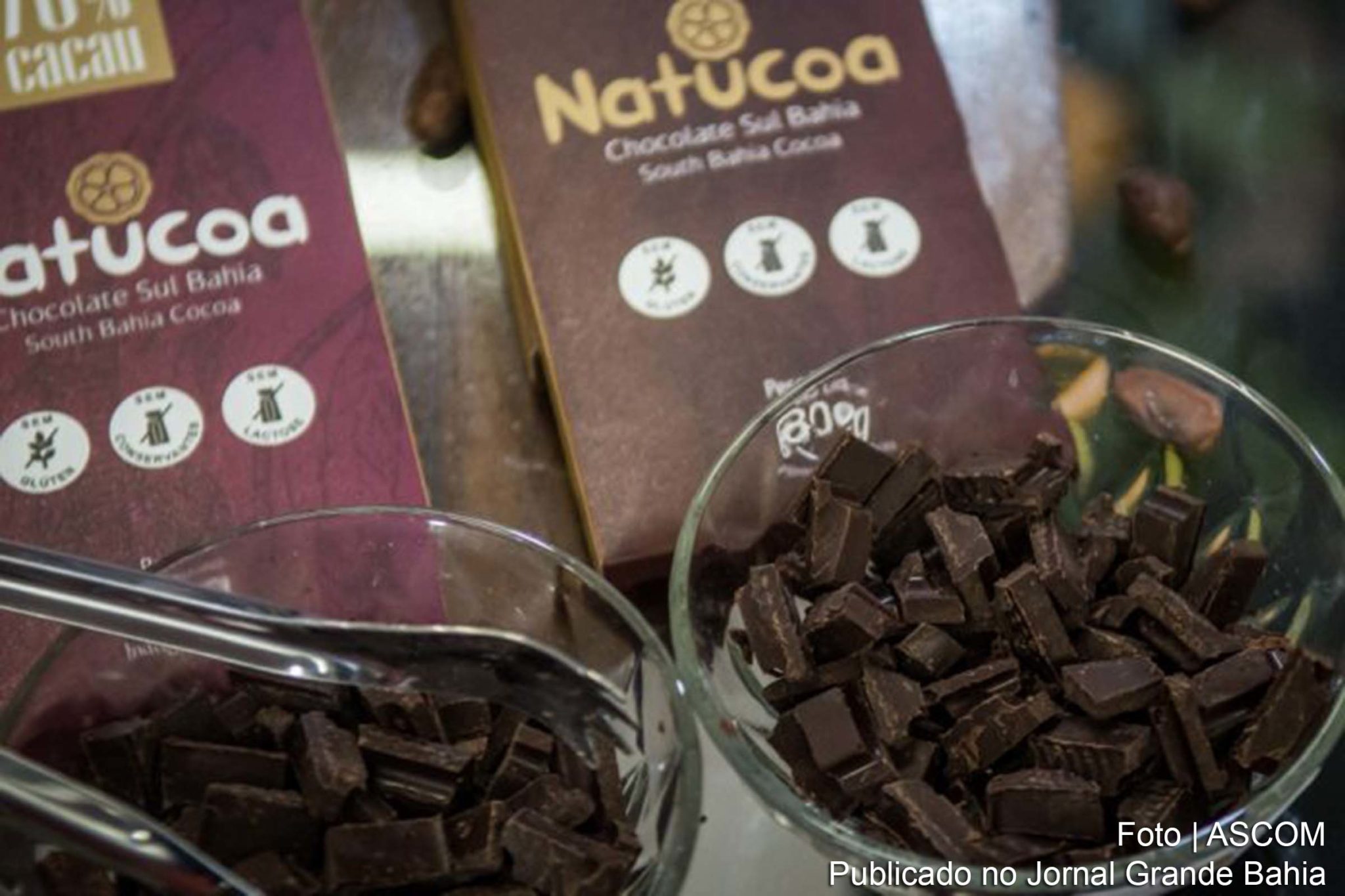 Governo da Bahia fomenta ampliação do mercado de cacau e chocolates